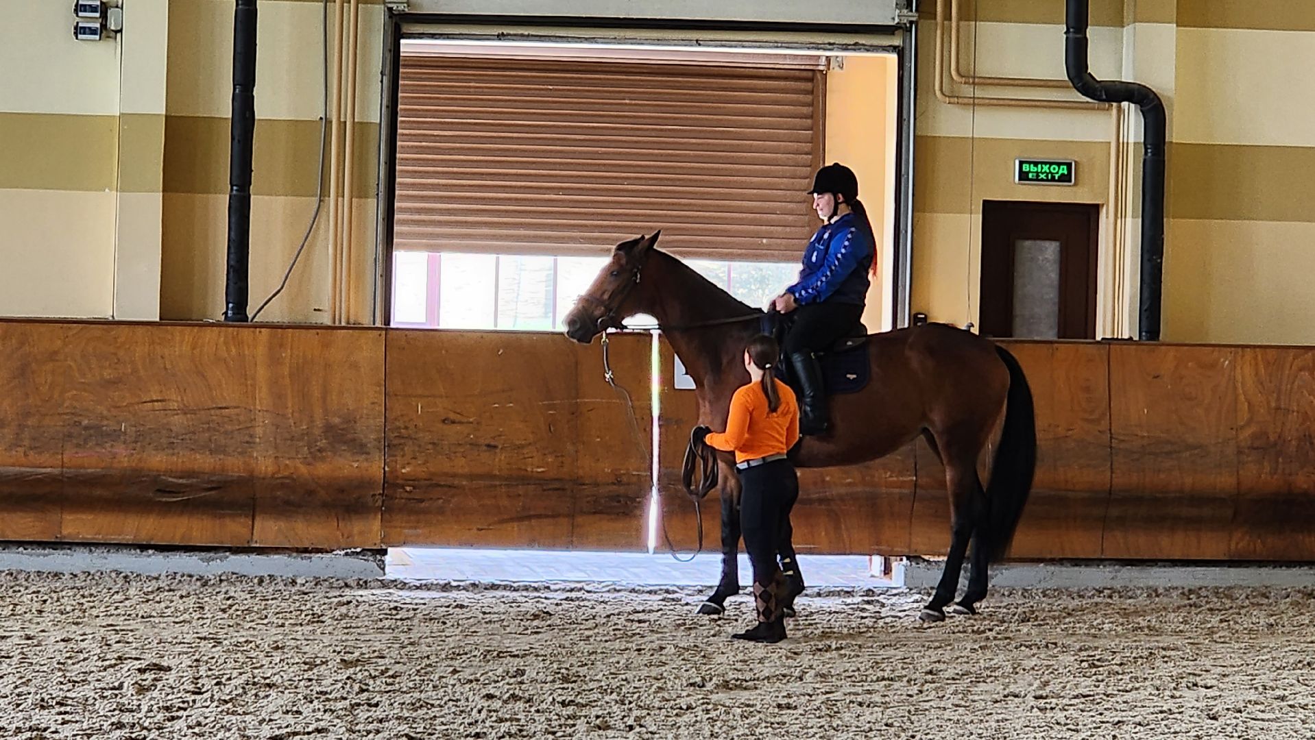 ветераны сво, истра, общество, спорт,