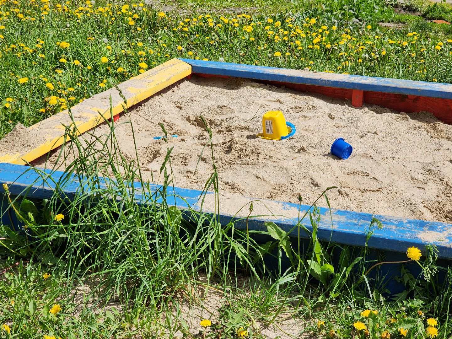 электросталь, голосование, благоустройство, сквер, жители,
