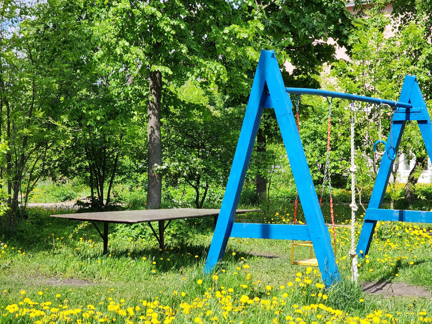 электросталь, голосование, благоустройство, сквер, жители,