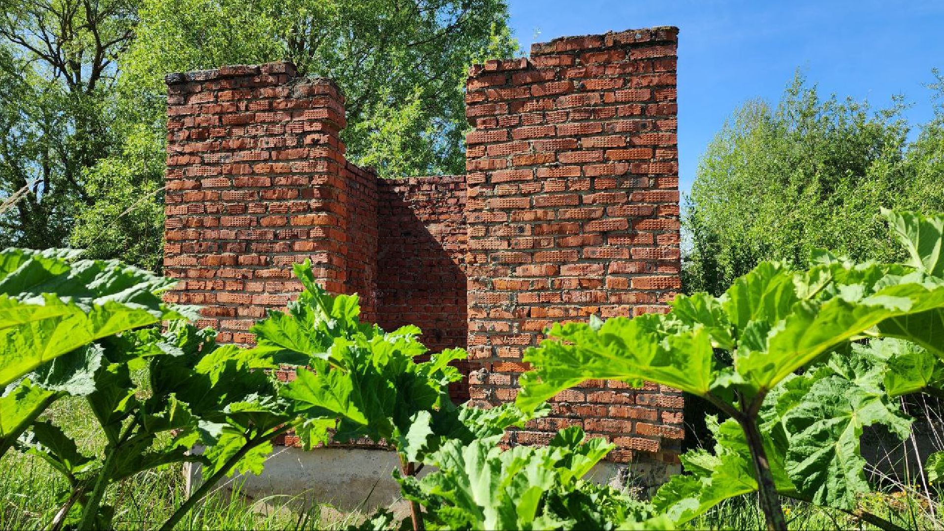 Талдом, Очистные в Ермолино, МинЖКХ, ВЗУ,