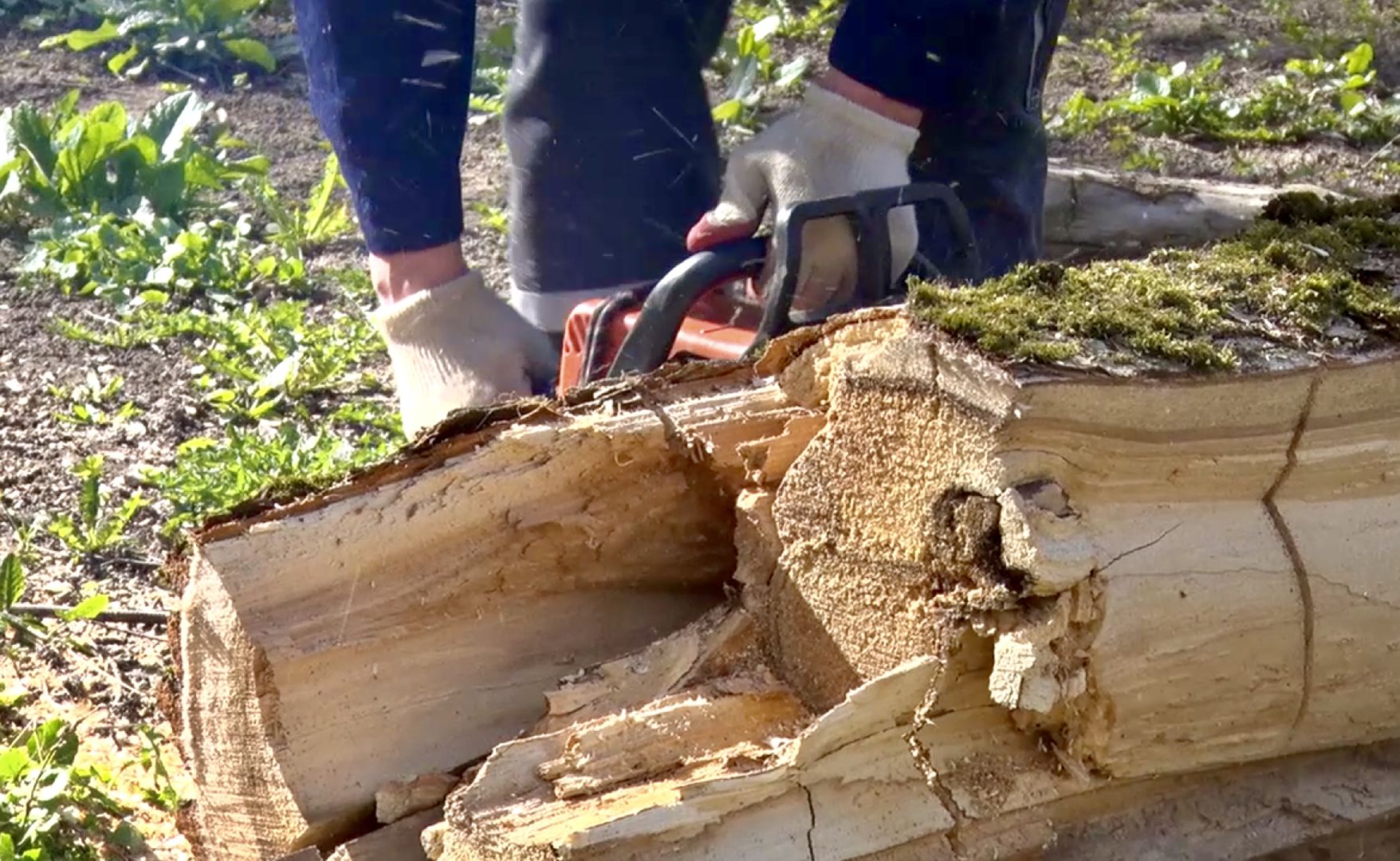 Клин, субботники, благоустройство, перемены