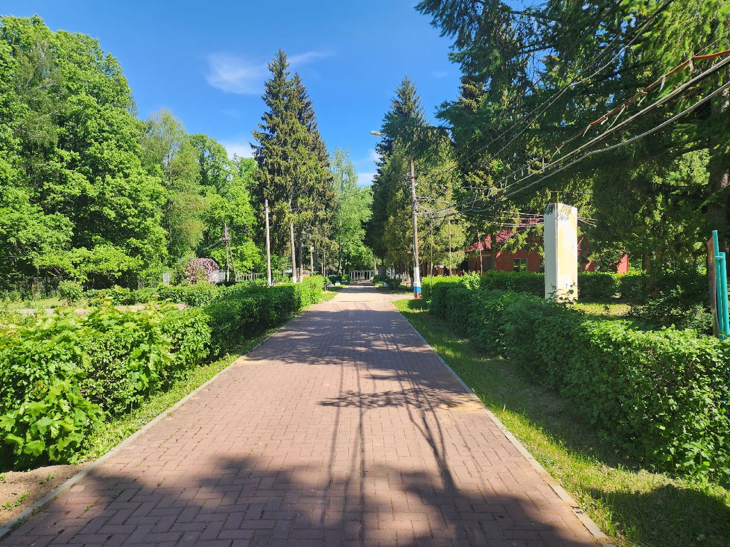 зарайск, ДОЛ Осетр, каникулы в лагере, ремонт, летние смены,