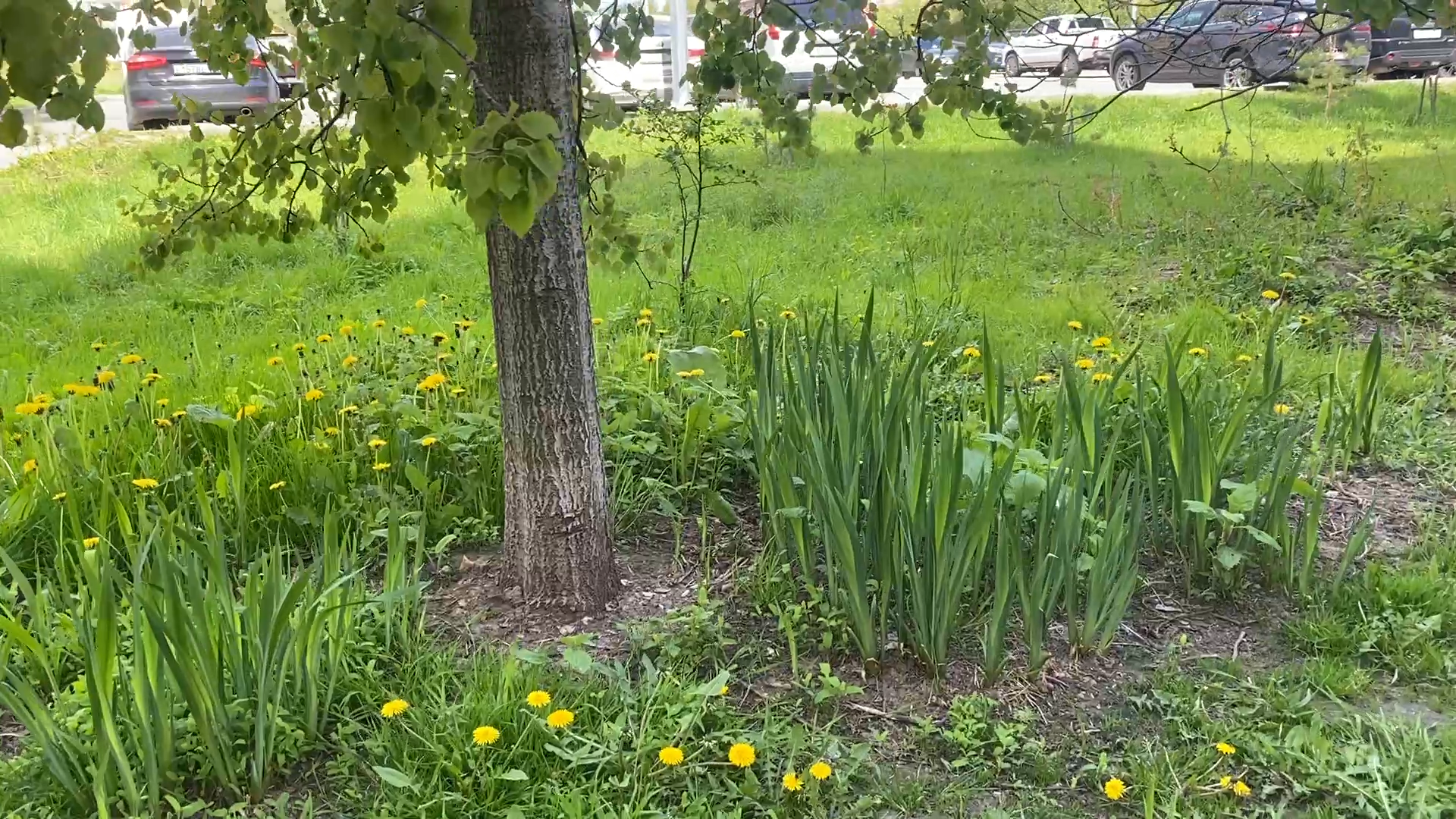 уборка территории, микрорайон школьный власиха, микрорайон тополек власиха, содержание территории,