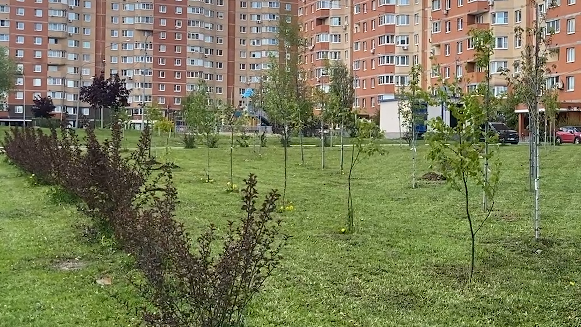 уборка территории, микрорайон школьный власиха, микрорайон тополек власиха, содержание территории,