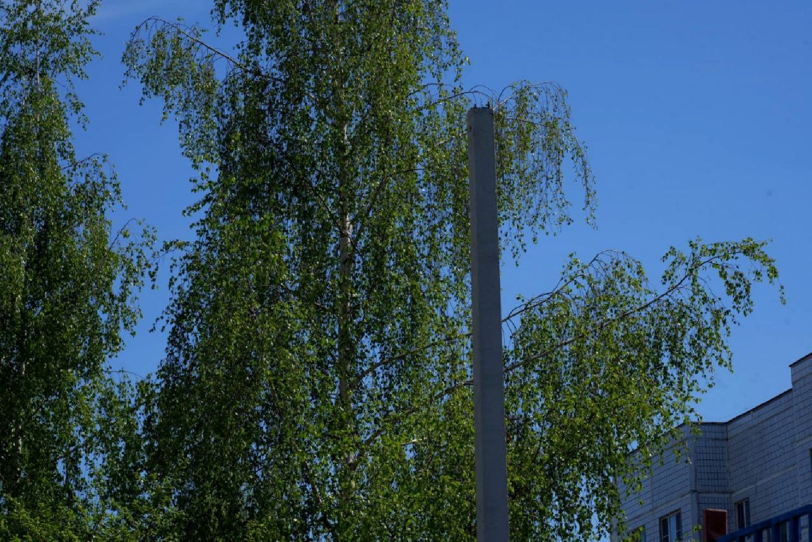 сергиев посад , сергиево-посадский городской округ, благоустройство , кбдт, жители ,