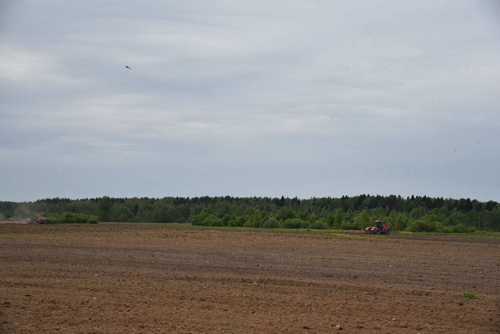 лотошино, сельское хозяйство, яровой сев,