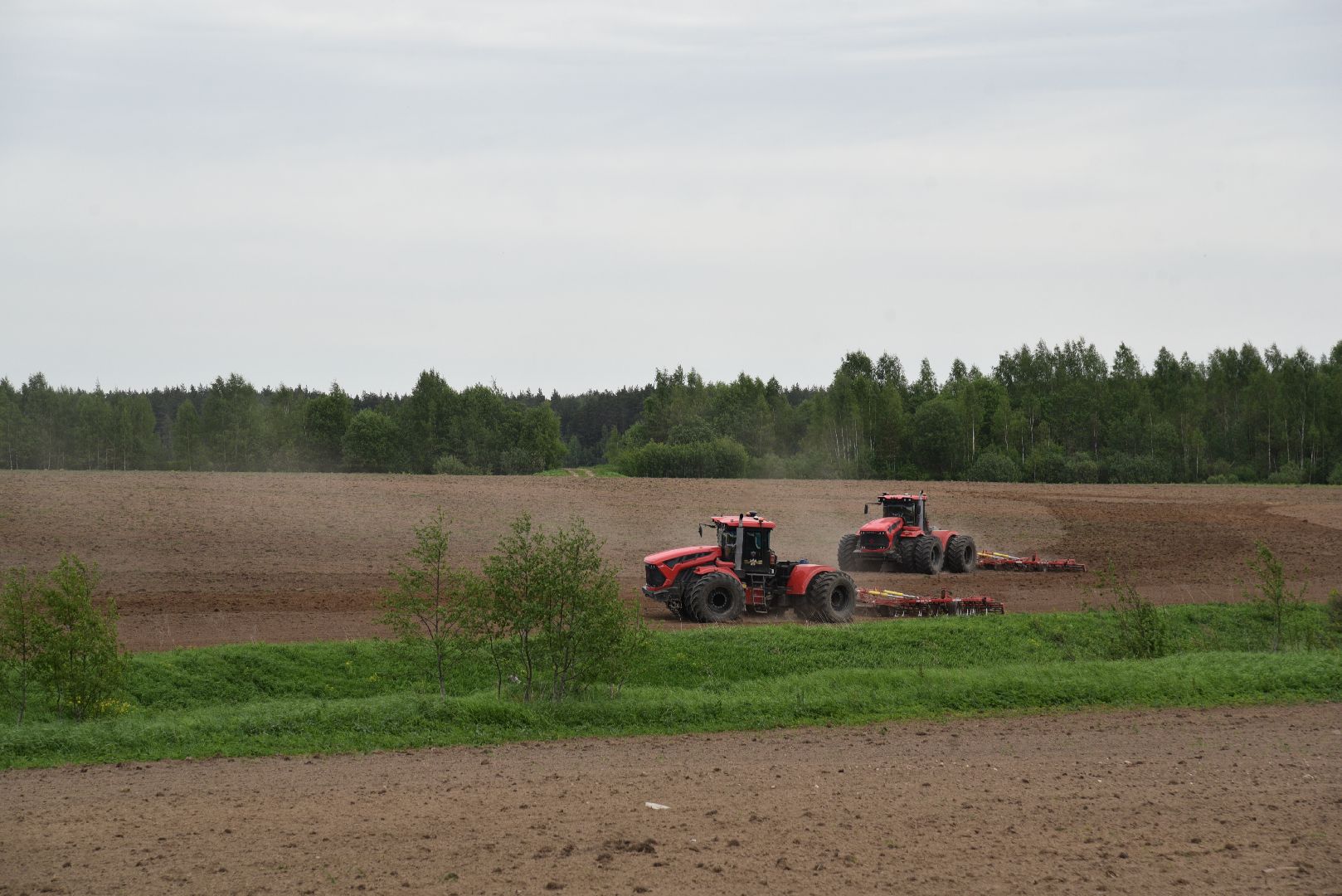 лотошино, сельское хозяйство, яровой сев,