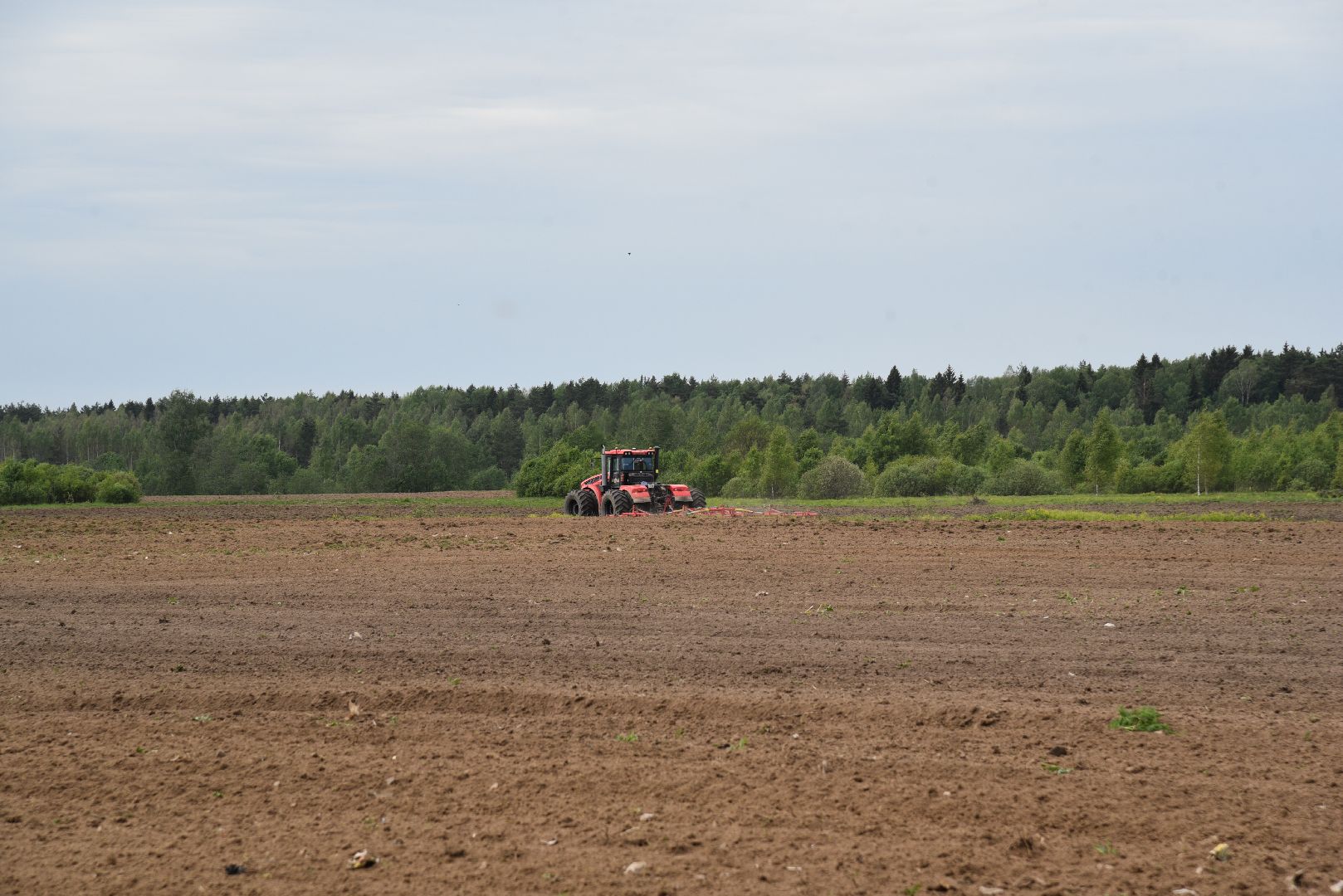 лотошино, сельское хозяйство, яровой сев,