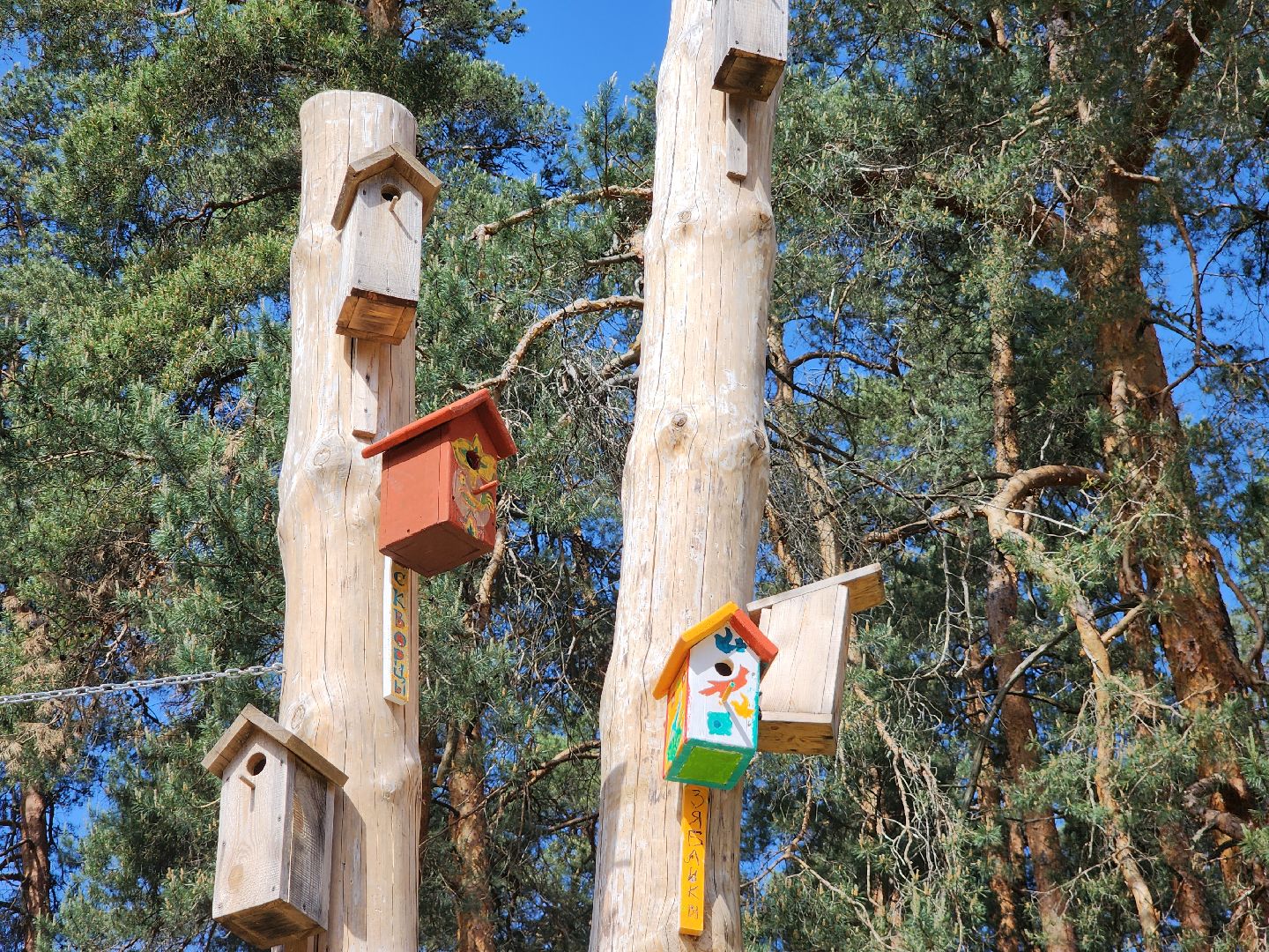 Егорьевск , Подмосковье , Московская область ,