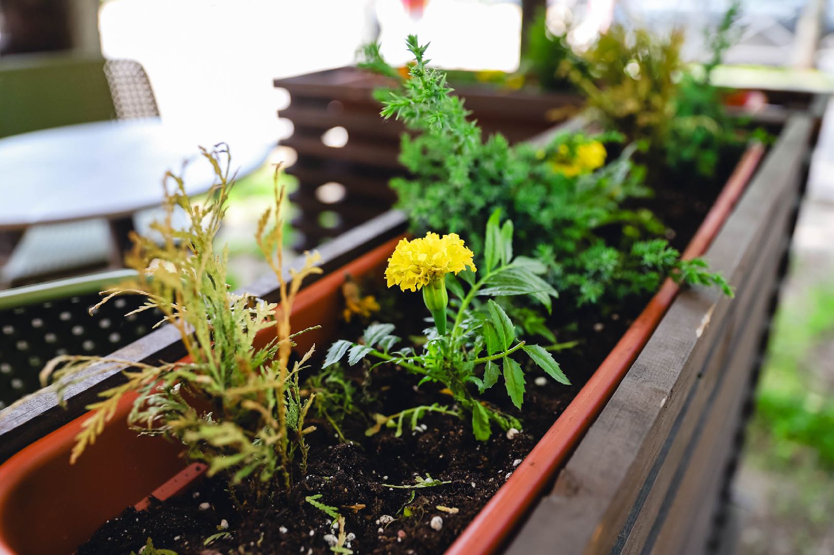 лето, веранда, кофе,