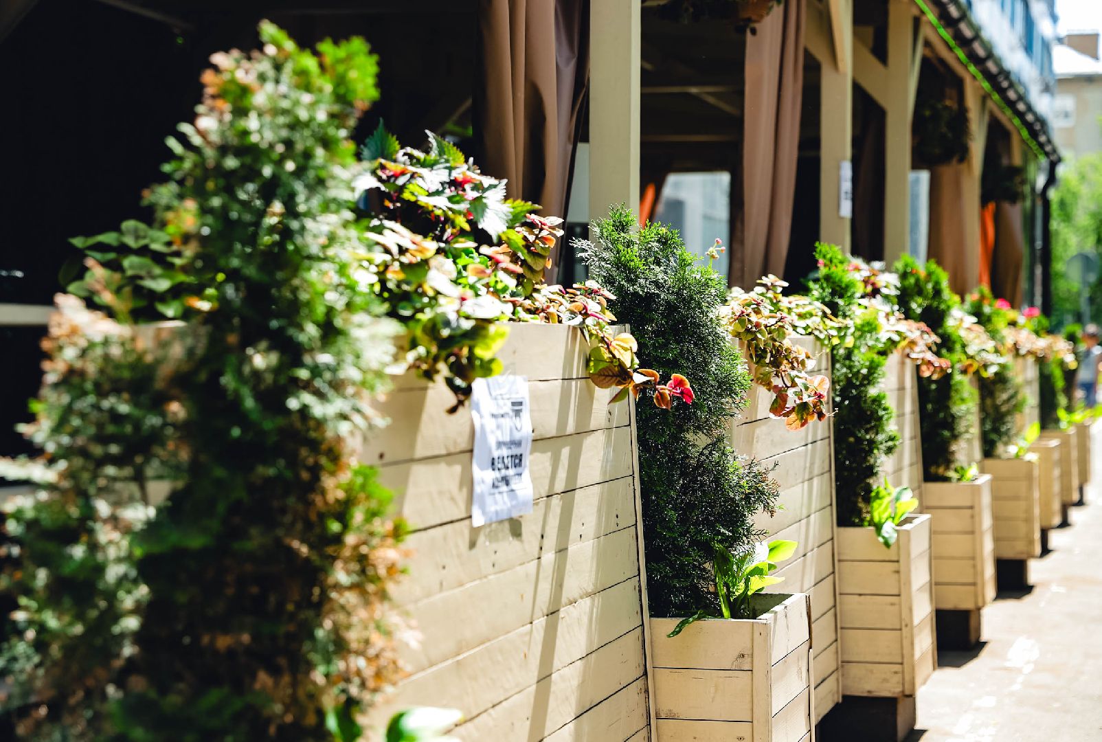 лето, веранда, кофе,