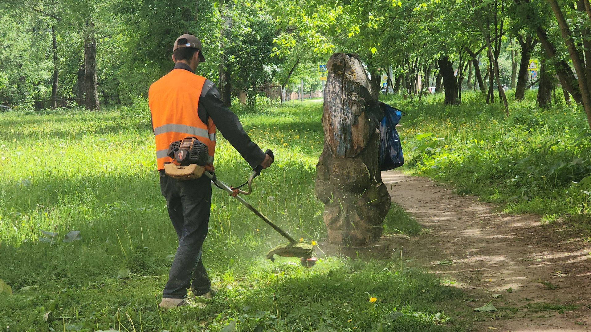 пушкино, покос травы, аварийное жилье, уборка территории, коммунальная служба, опиловка деревьев,