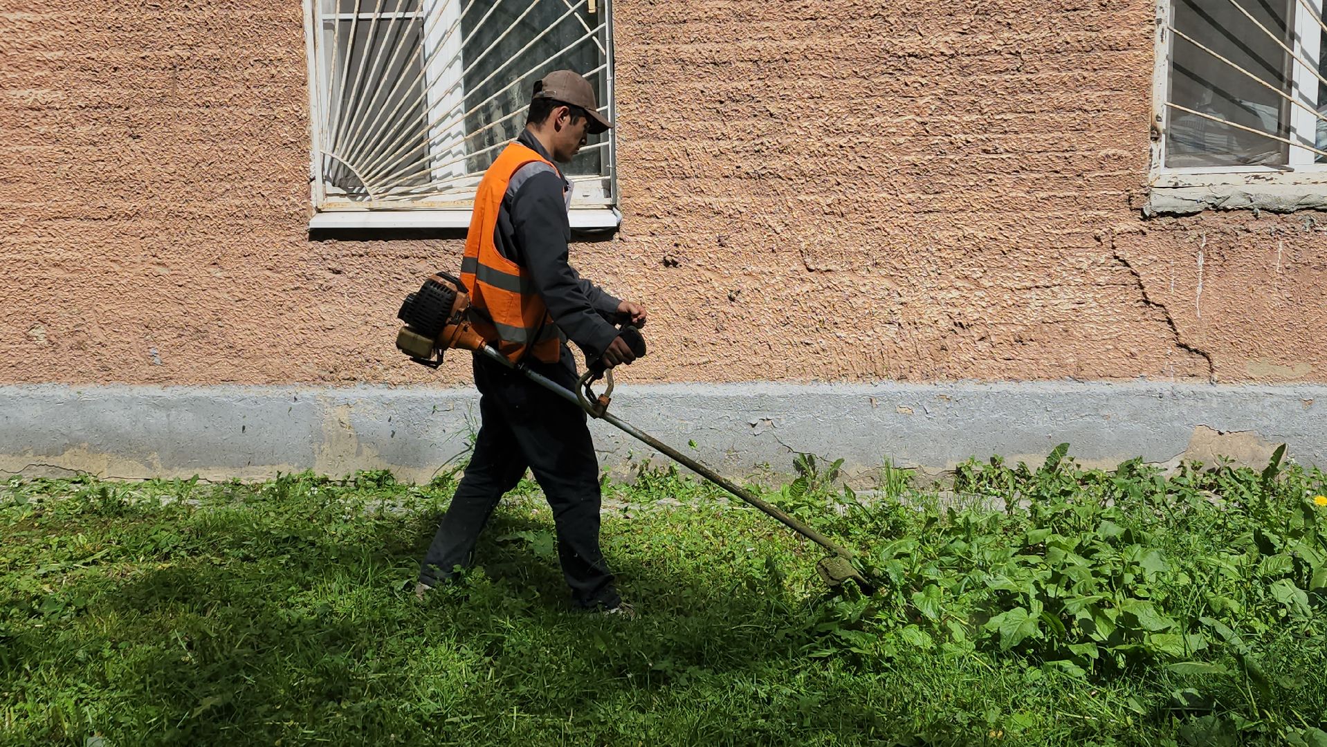 пушкино, покос травы, аварийное жилье, уборка территории, коммунальная служба, опиловка деревьев,