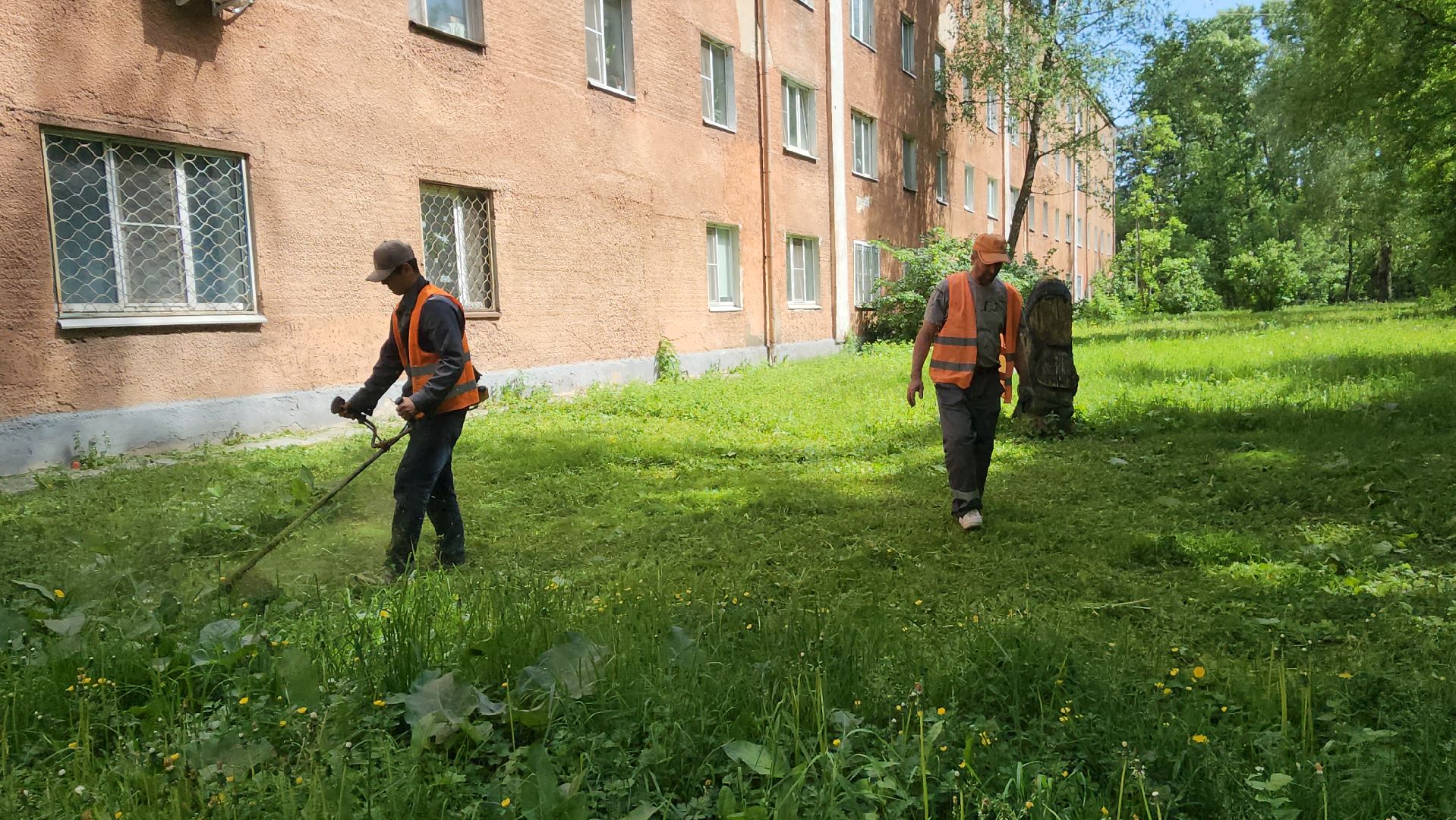 пушкино, покос травы, аварийное жилье, уборка территории, коммунальная служба, опиловка деревьев,
