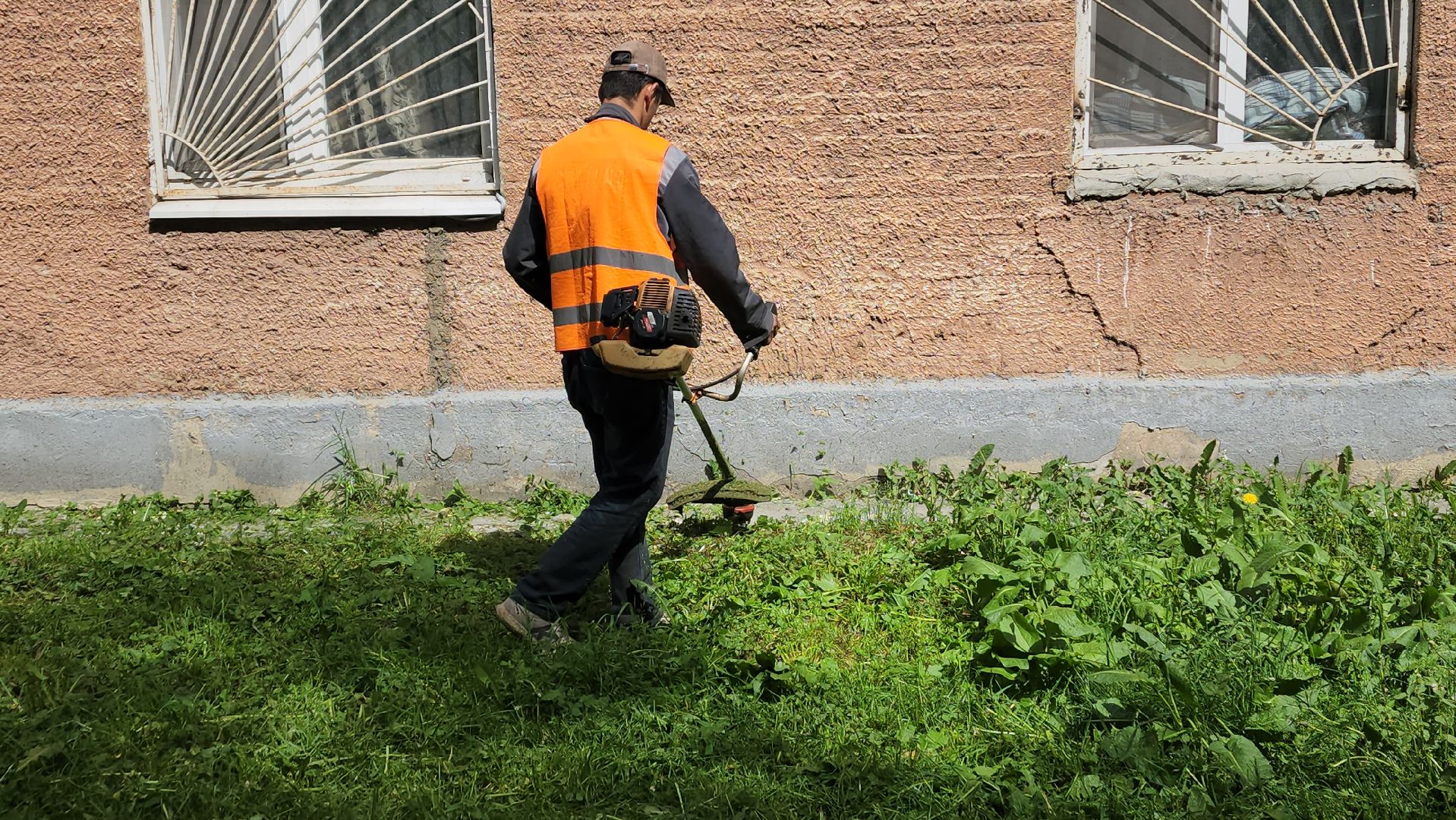 пушкино, покос травы, аварийное жилье, уборка территории, коммунальная служба, опиловка деревьев,