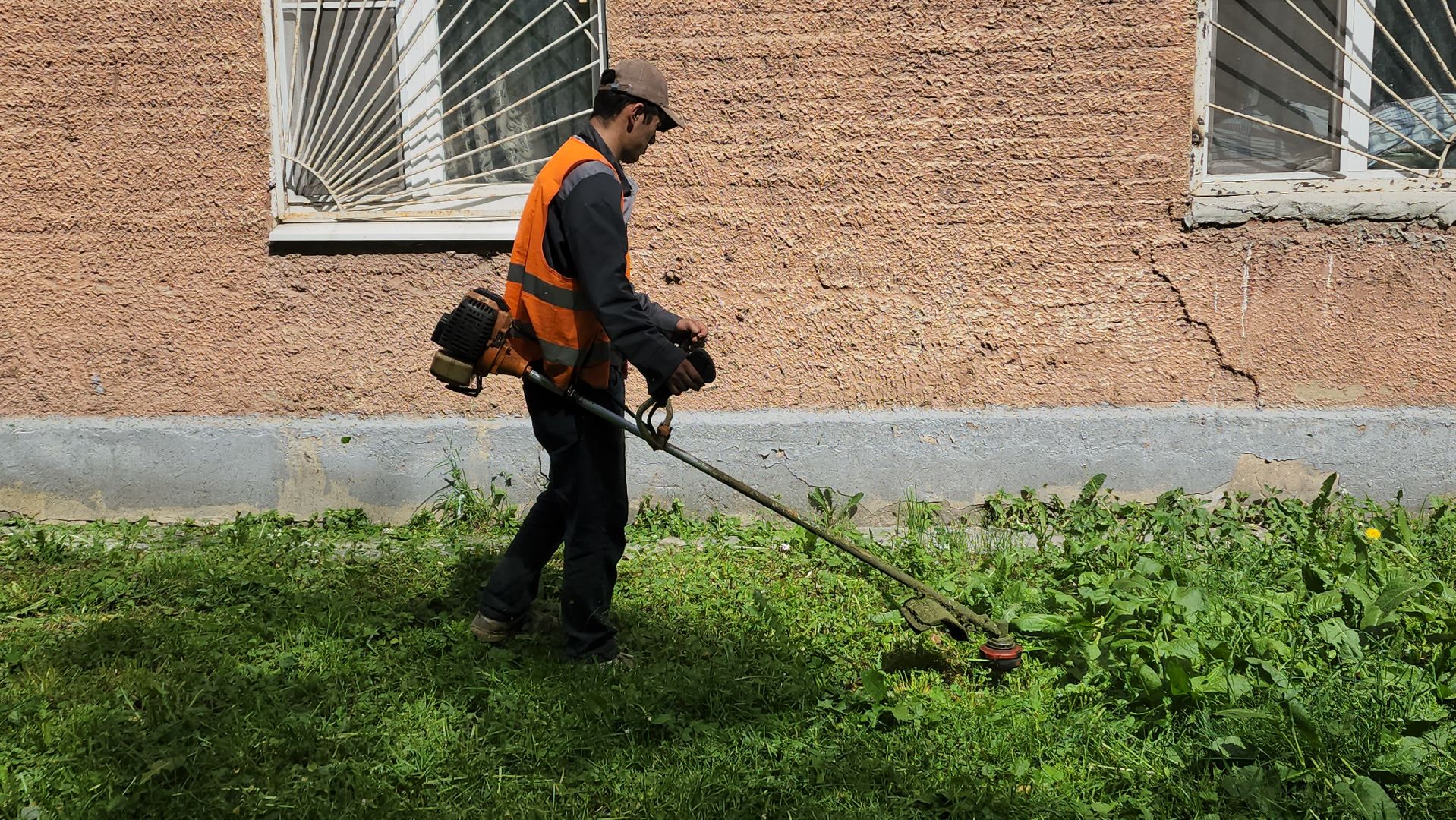 пушкино, покос травы, аварийное жилье, уборка территории, коммунальная служба, опиловка деревьев,