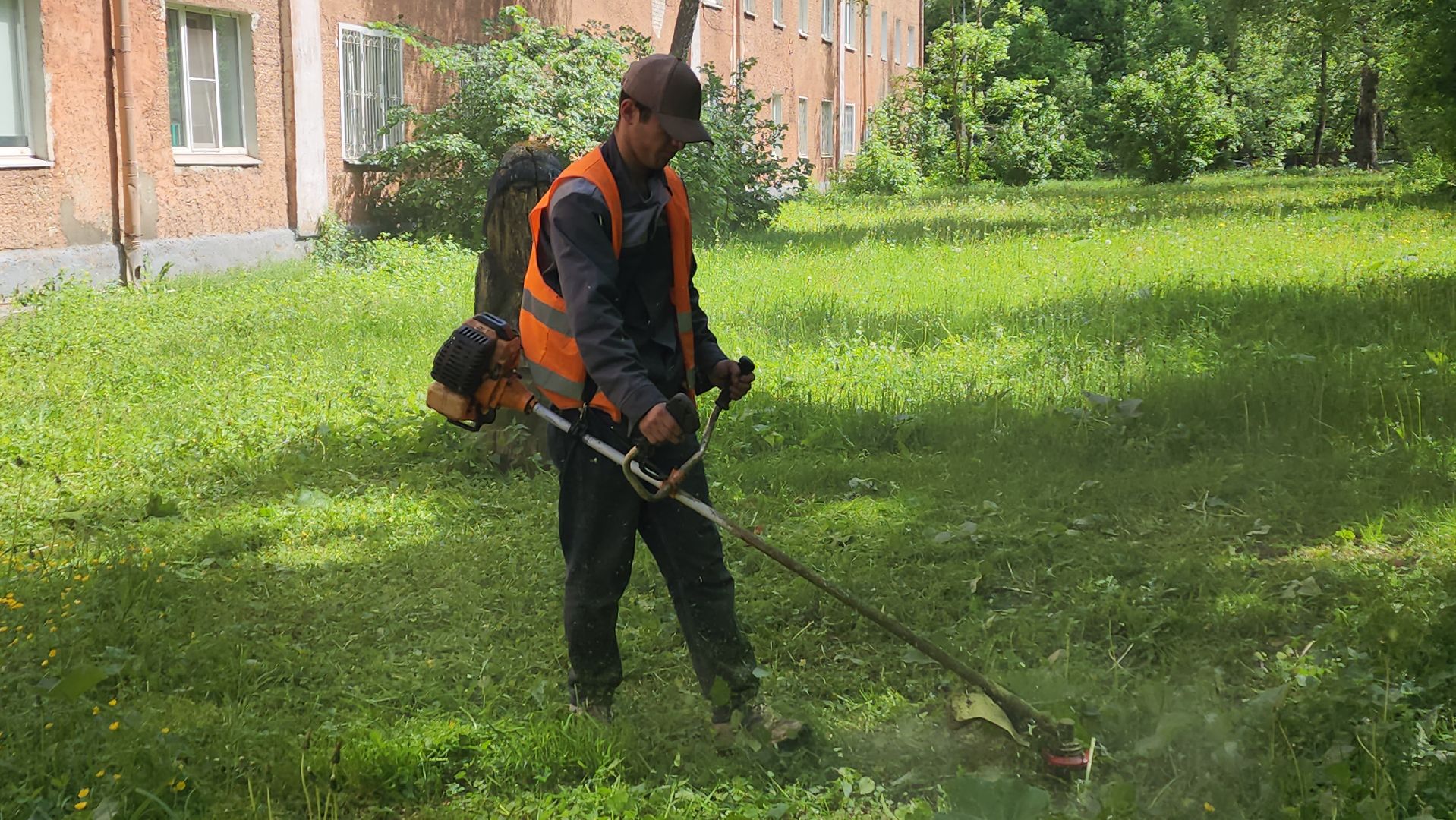 пушкино, покос травы, аварийное жилье, уборка территории, коммунальная служба, опиловка деревьев,