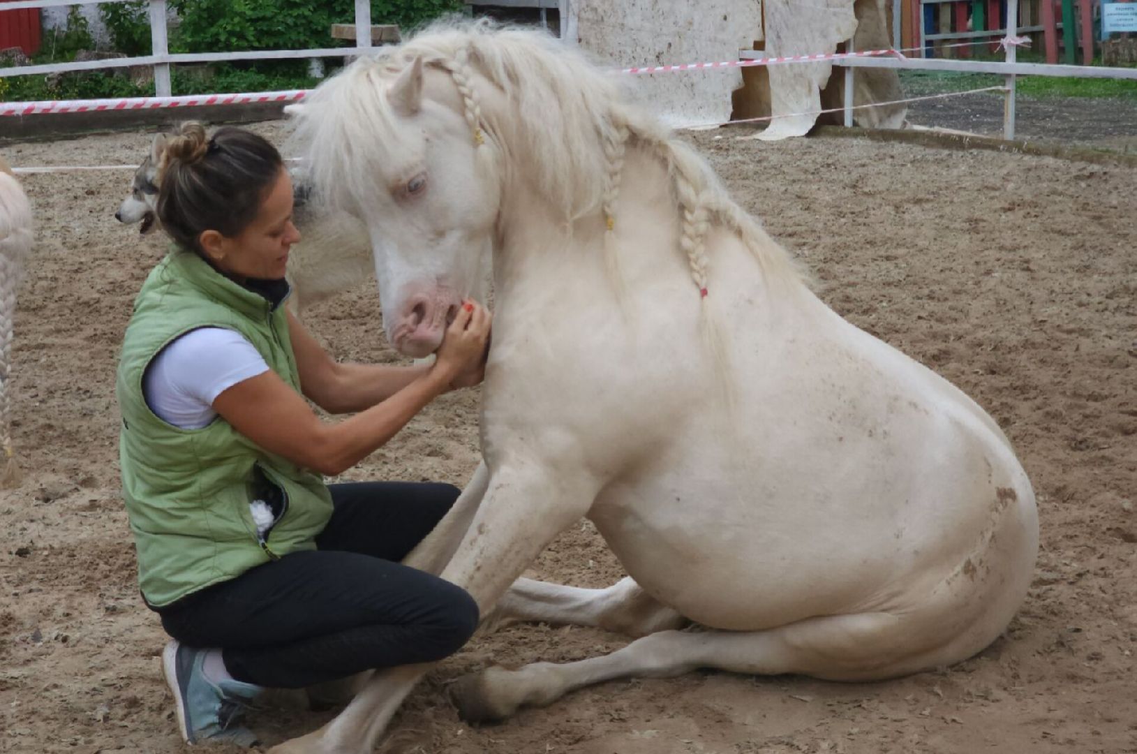 Звенигород, Туризм, Дополнительное образование,День защиты детей,