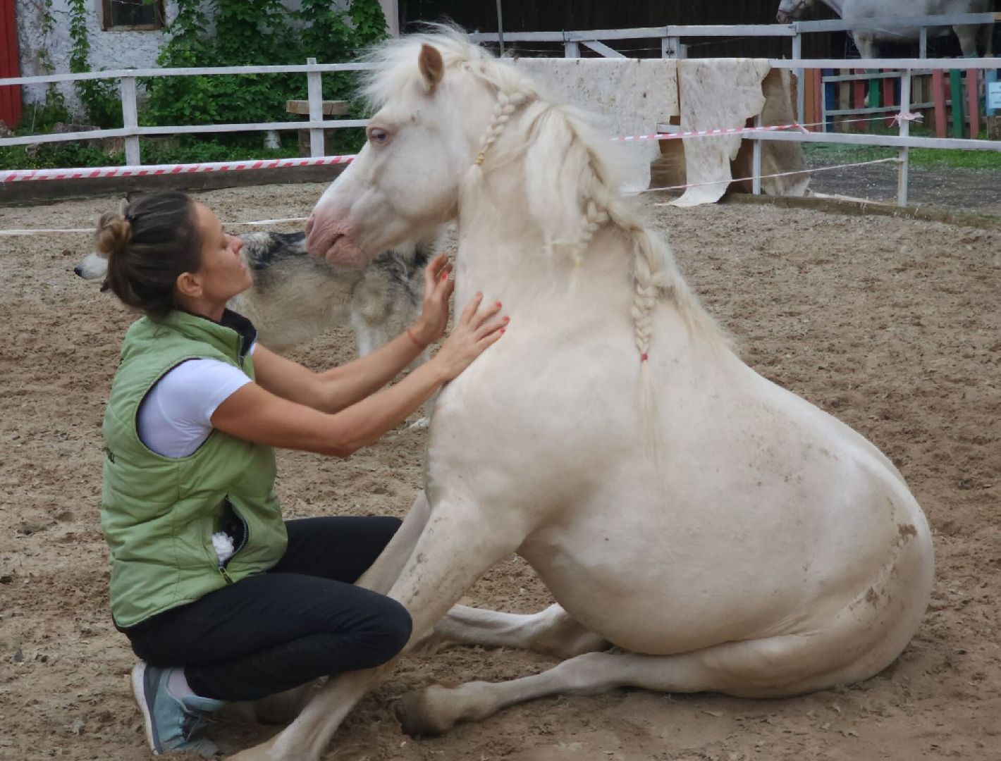 Звенигород, Туризм, Дополнительное образование,День защиты детей,
