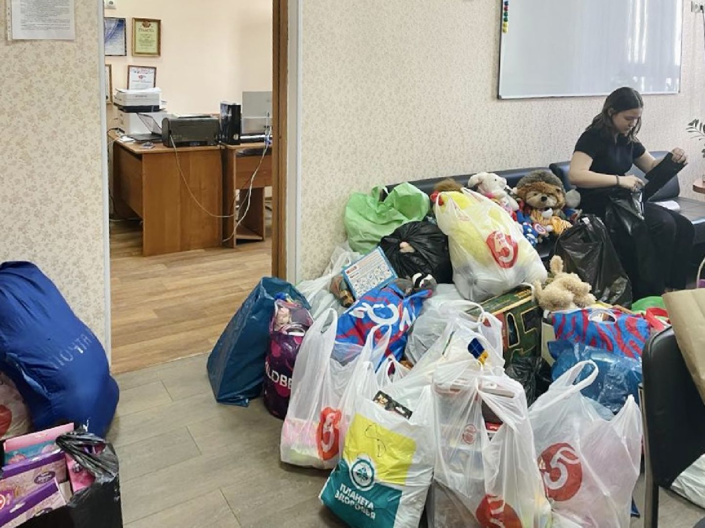 помощь, мягкие игрушки, Фрязино, СВО, детский сад