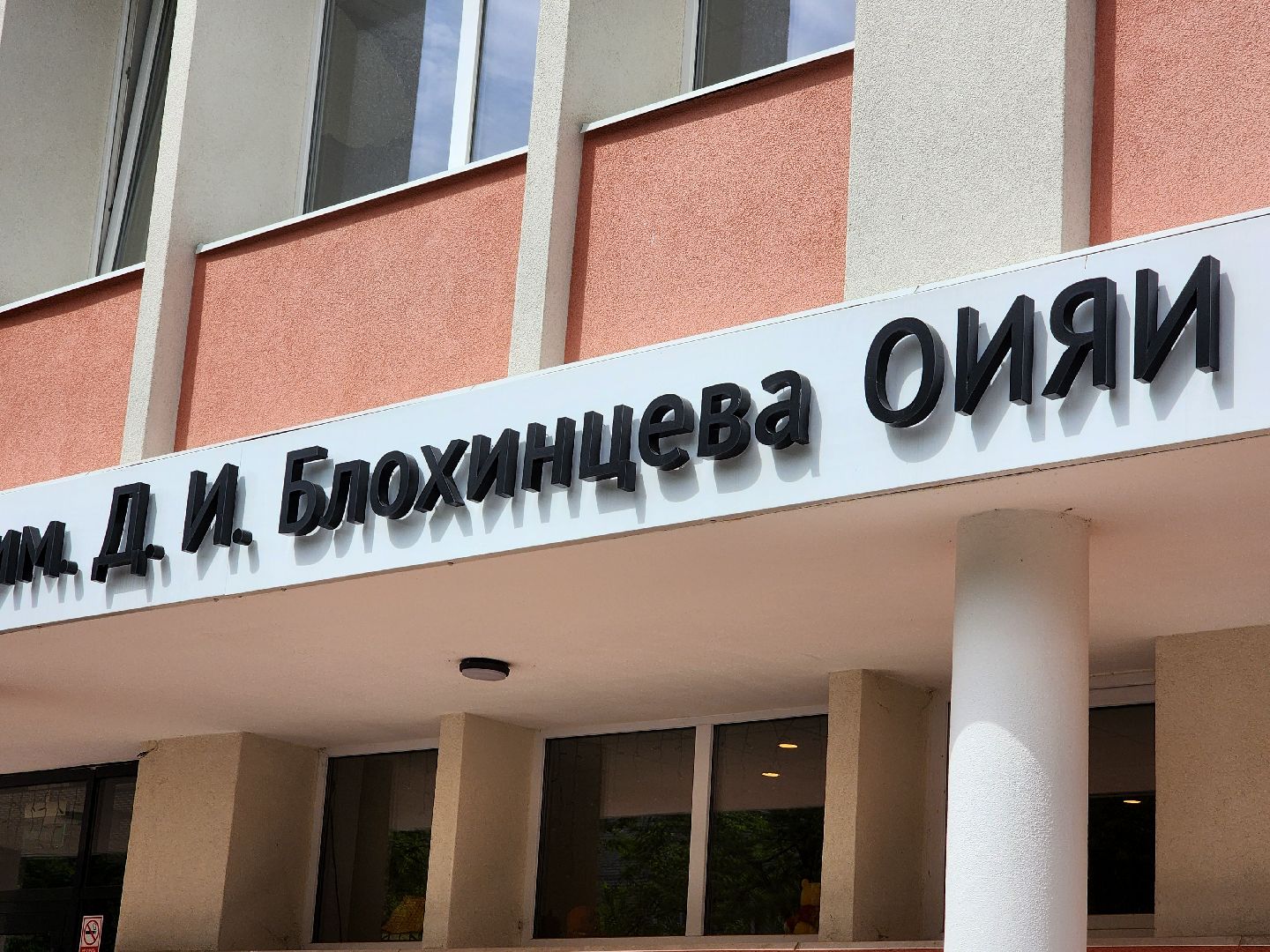 дубна, проект nica,  сергей мерц, блохинка,