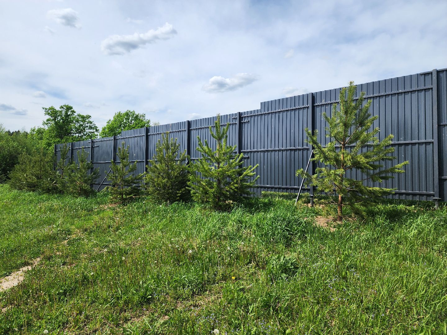 красноармейск, городской округ пушкинский, развитие бизнеса, центр здоровья, строительство,