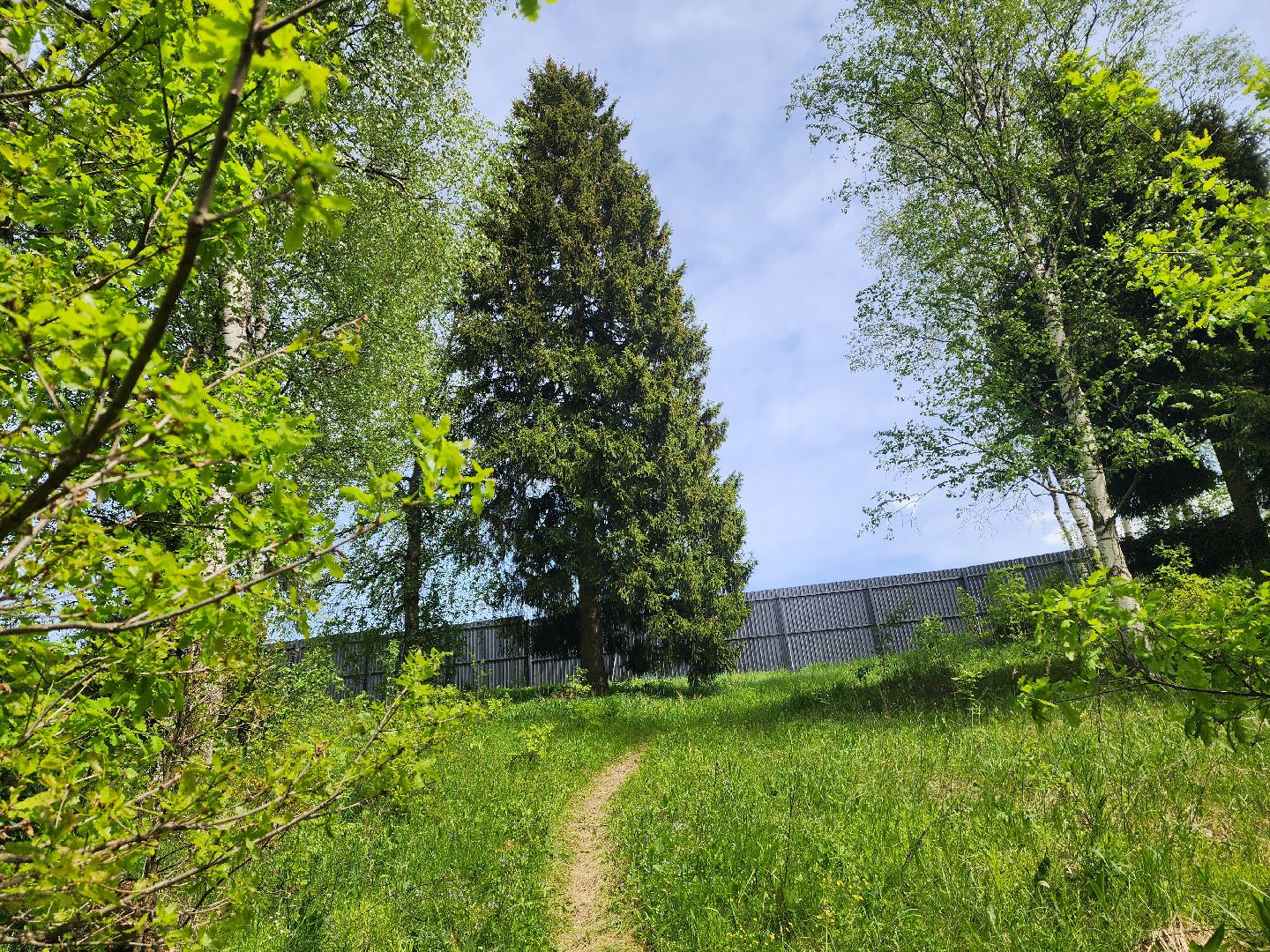 красноармейск, городской округ пушкинский, развитие бизнеса, центр здоровья, строительство,