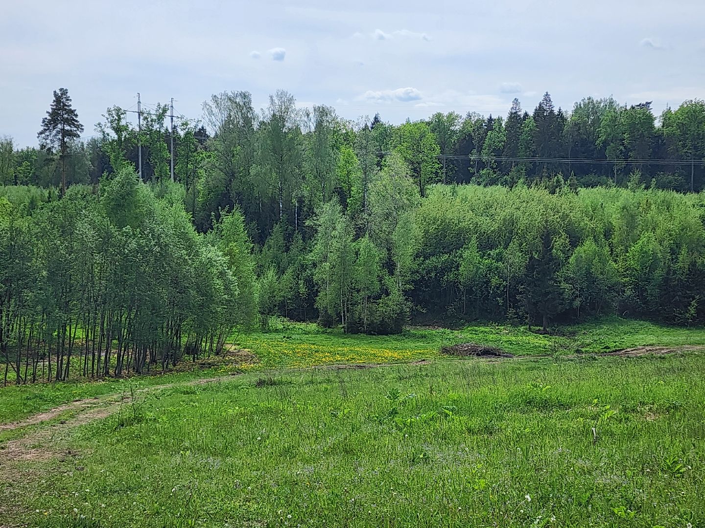 красноармейск, городской округ пушкинский, развитие бизнеса, центр здоровья, строительство,