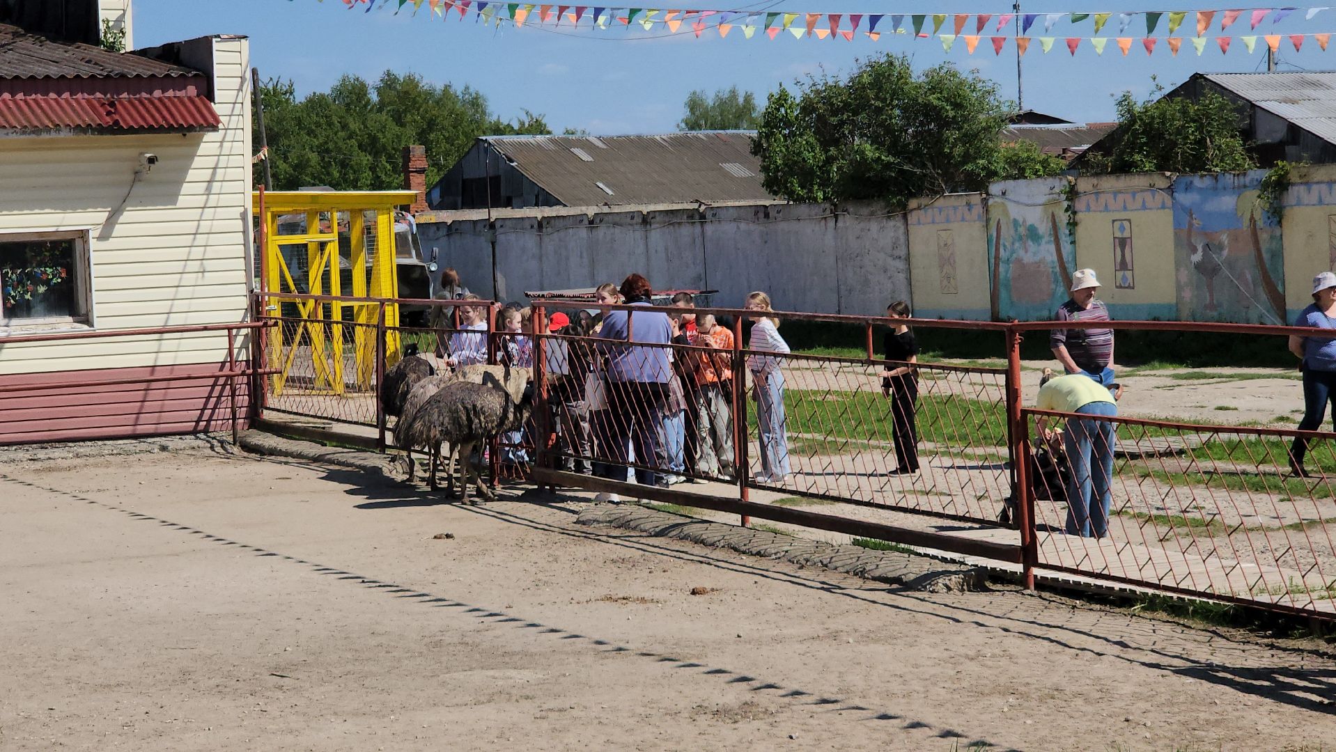серпухов, подмосковье, страусиная ферма,