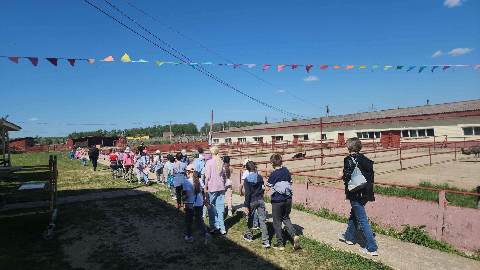 серпухов, подмосковье, страусиная ферма,