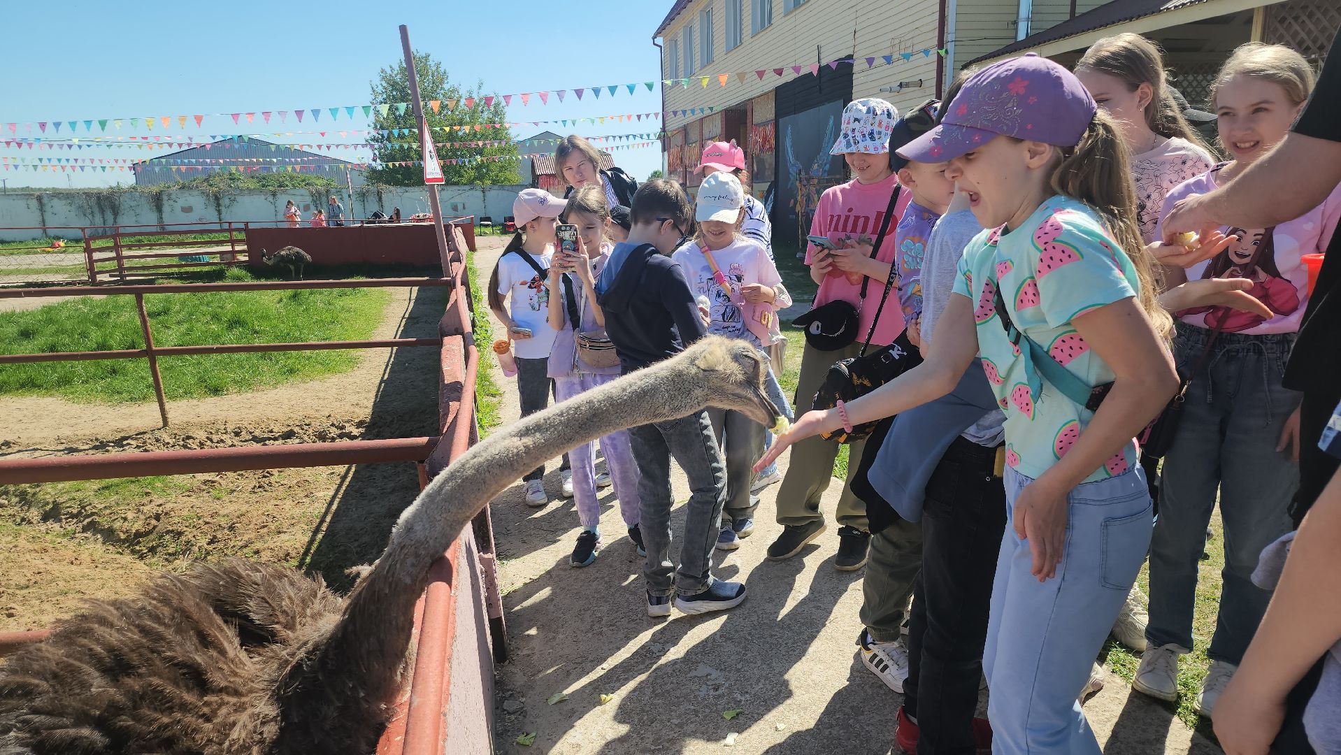 серпухов, подмосковье, страусиная ферма,