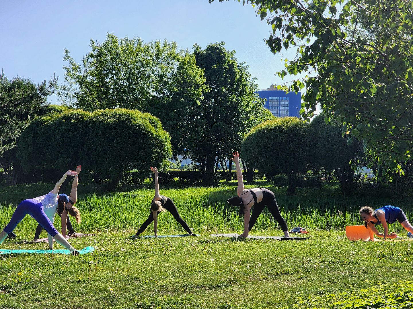 дубна, спорт, оздоровительная гимнастика, парк семейного отдыха,