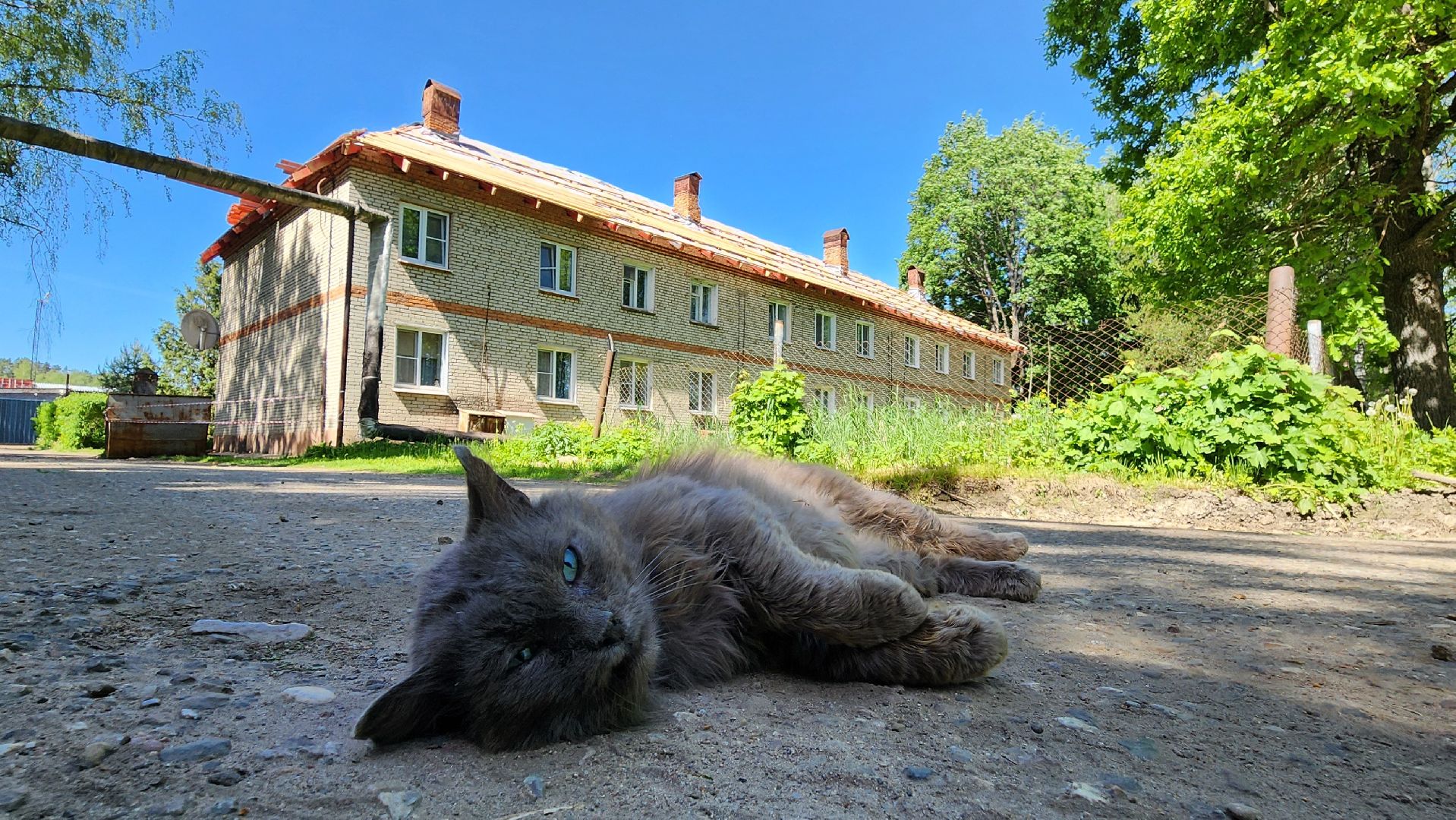 Руза, старая руза, ремонт кровли мкд, Жкх,