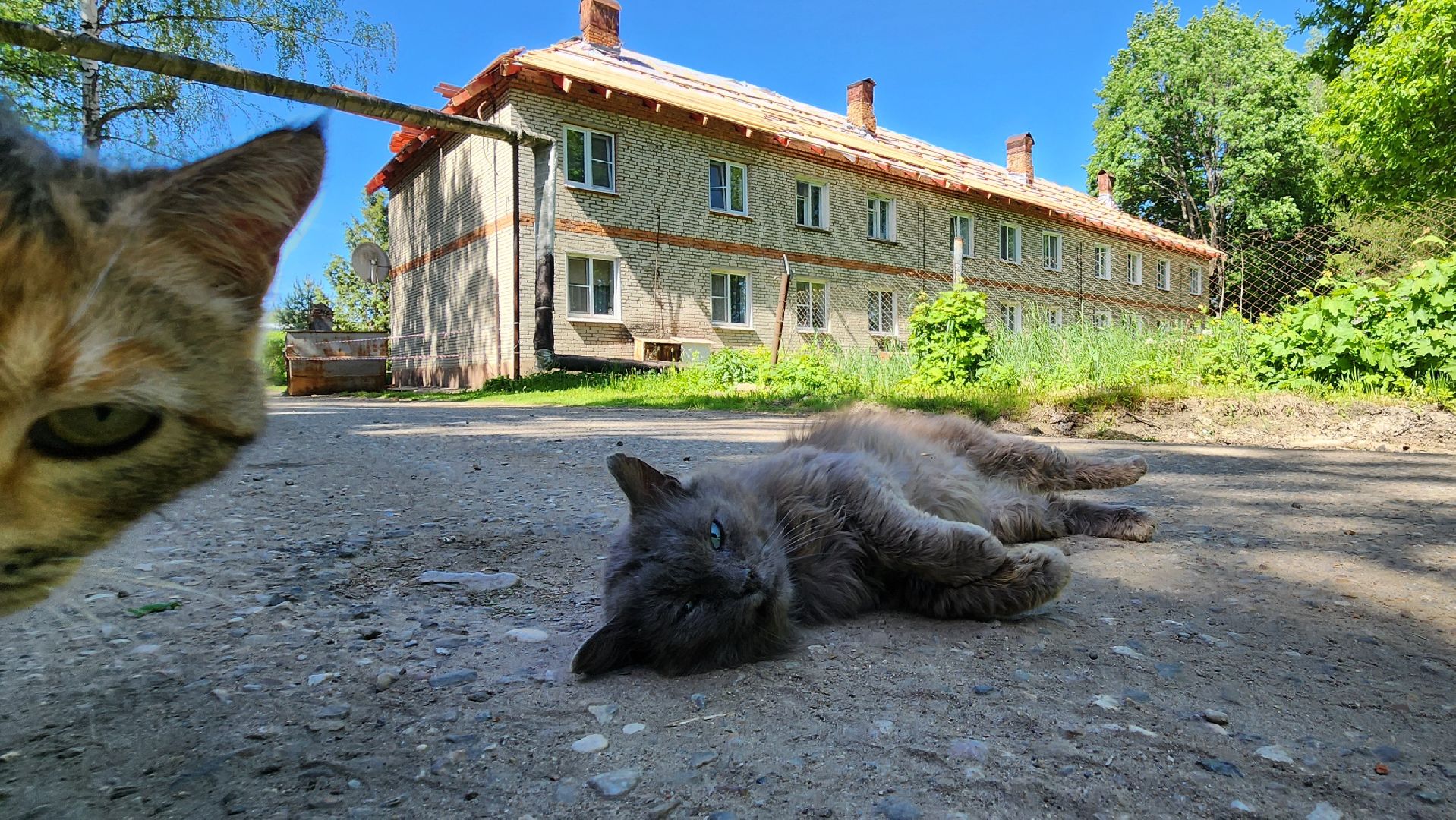 Руза, старая руза, ремонт кровли мкд, Жкх,