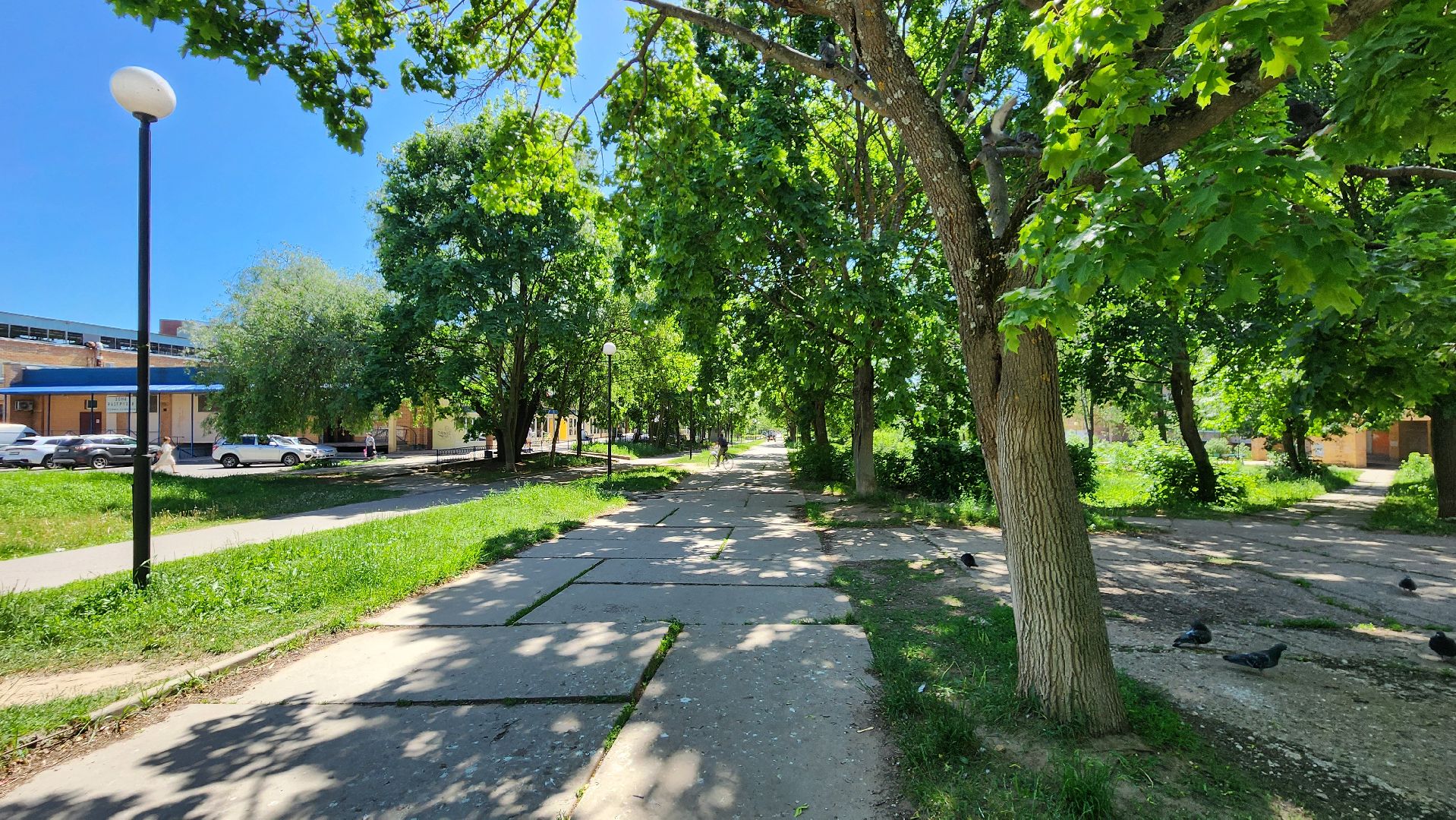 сезонные работы комбината, протвино, благоустройство,