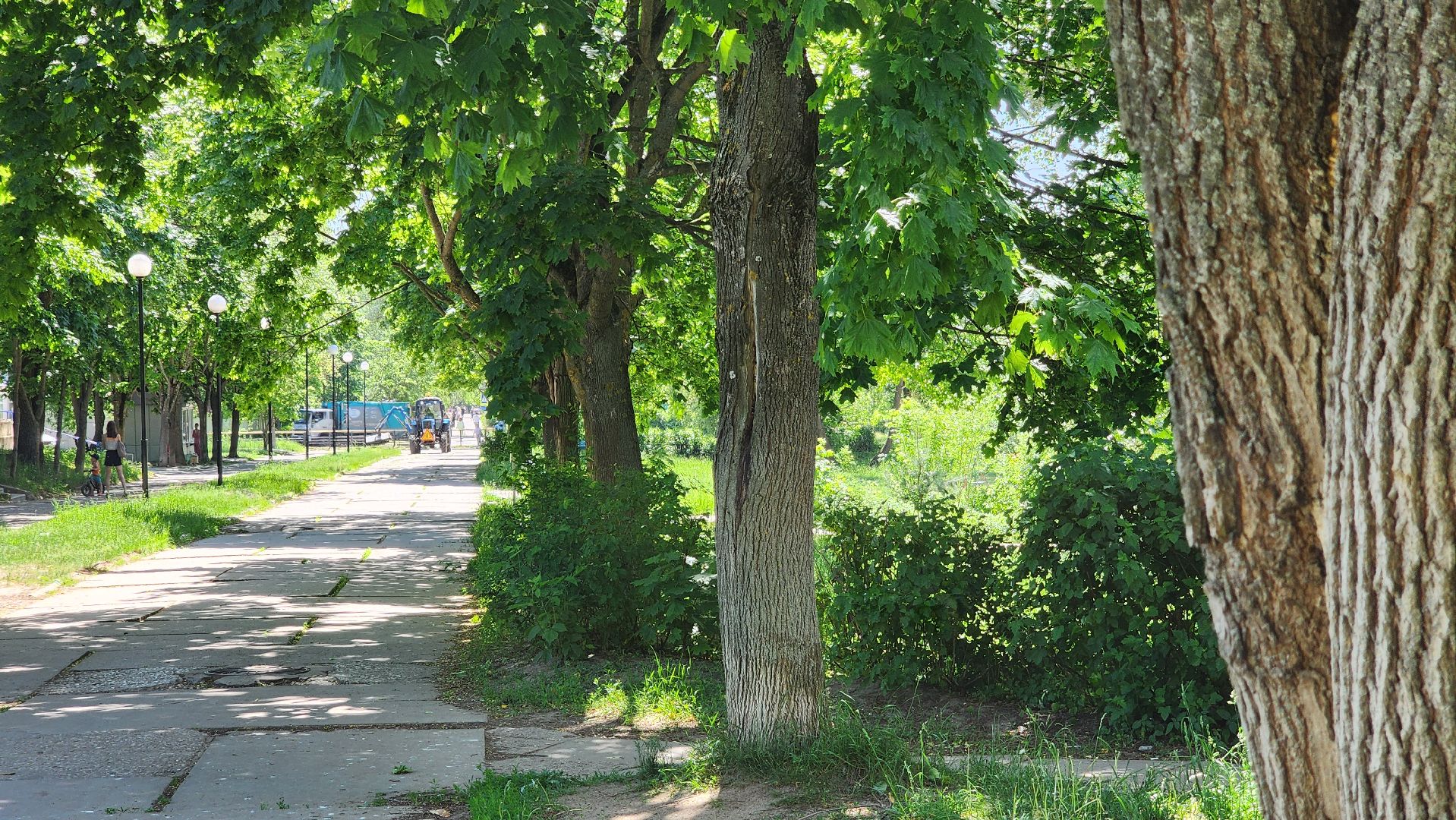 сезонные работы комбината, протвино, благоустройство,