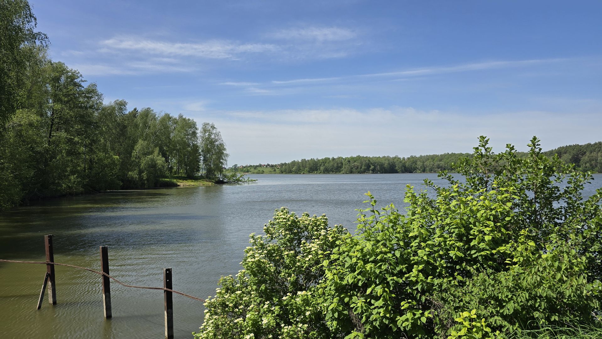 Коломна, рыбхоз, природный заповедник, краснокнижные животные,