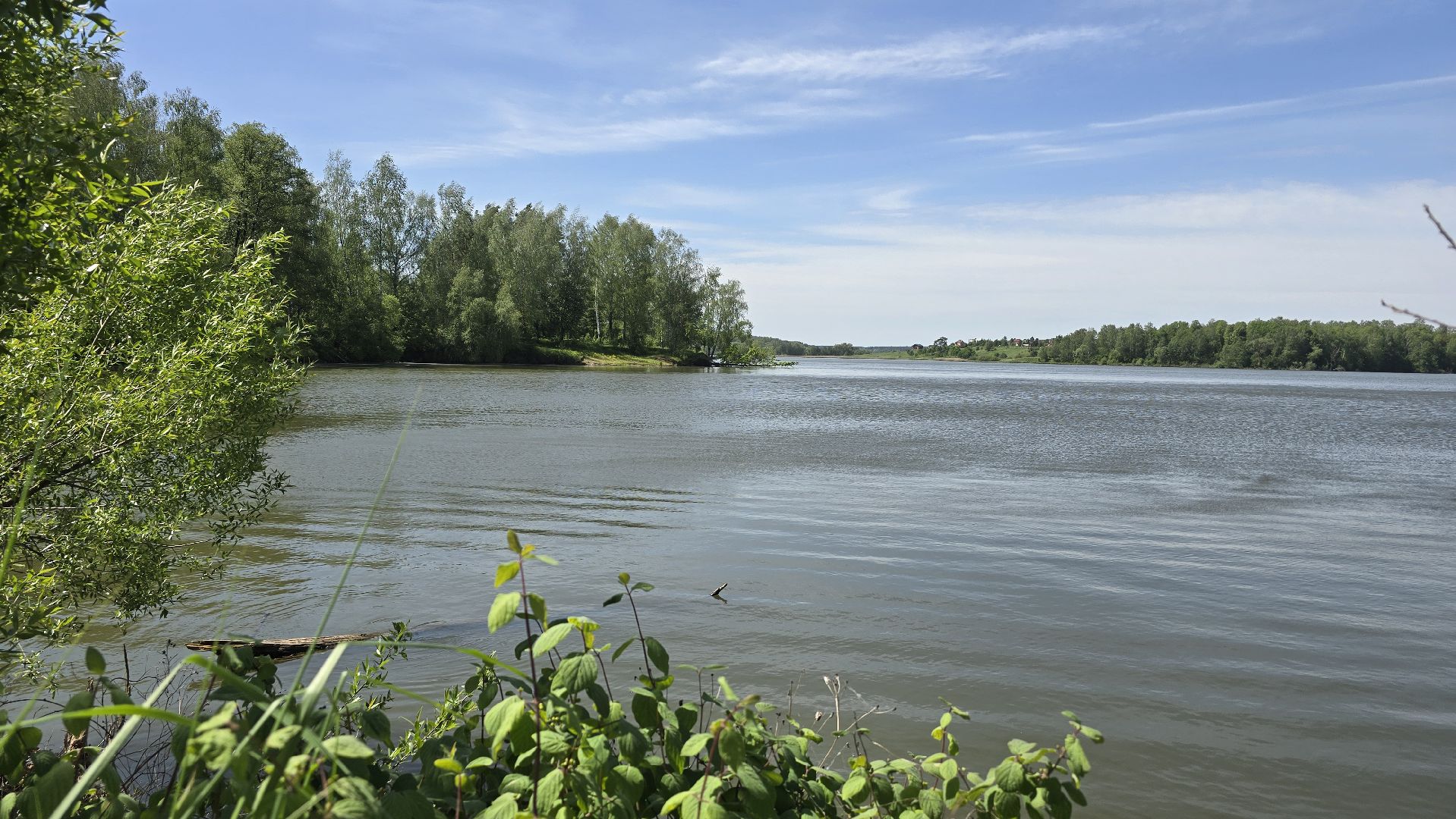 Коломна, рыбхоз, природный заповедник, краснокнижные животные,