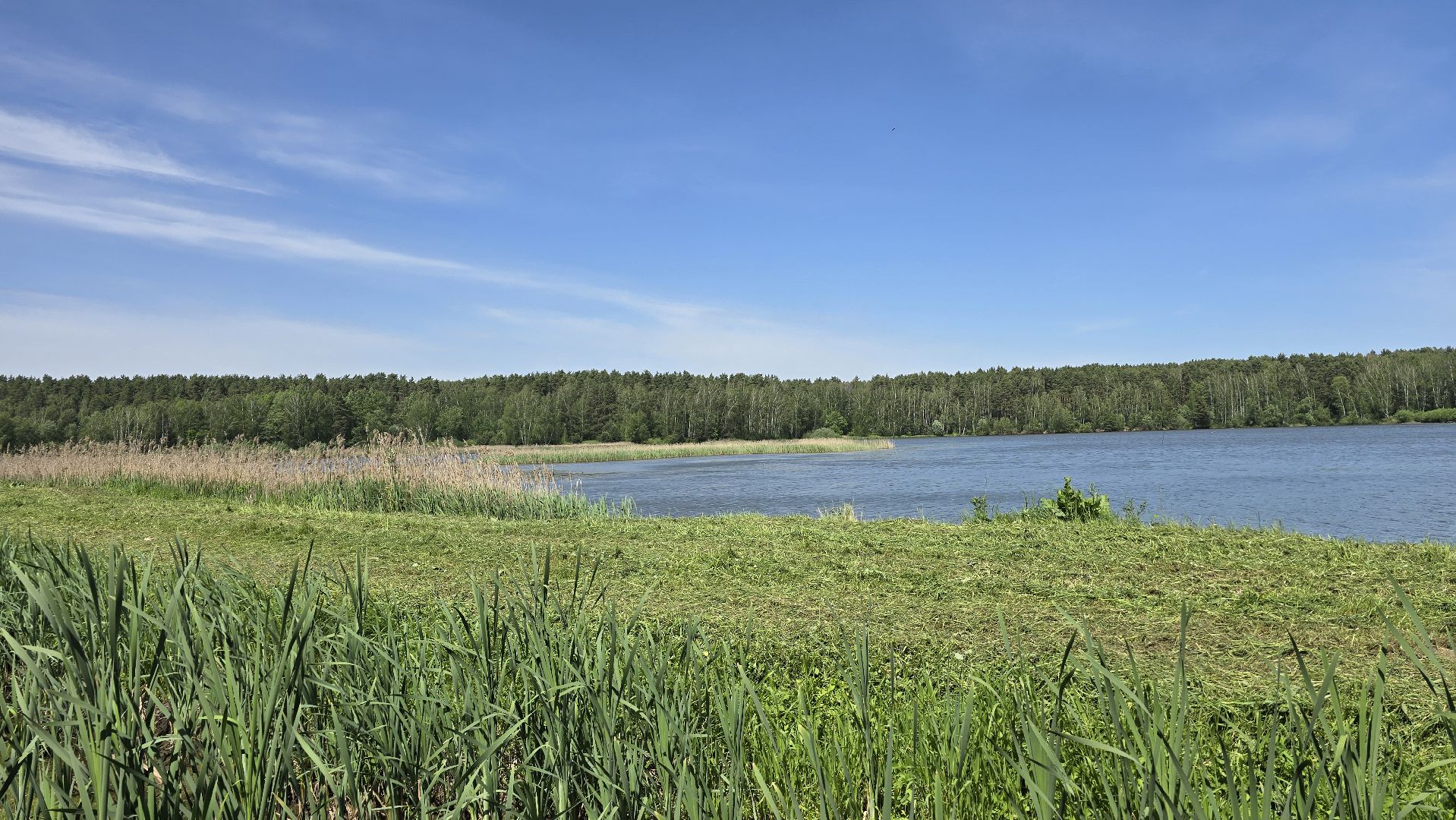 Коломна, рыбхоз, природный заповедник, краснокнижные животные,