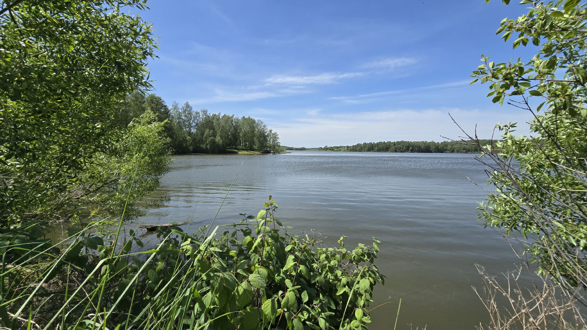 Коломна, рыбхоз, природный заповедник, краснокнижные животные,