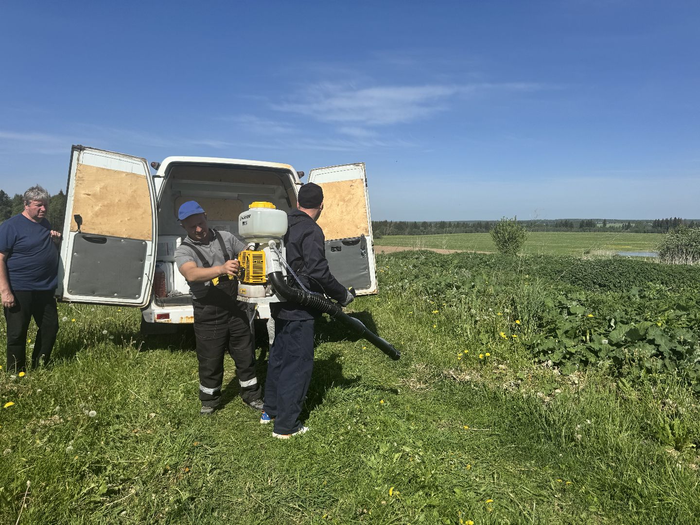 шаховская, борьба с борщевиком, борщевик сосновского,