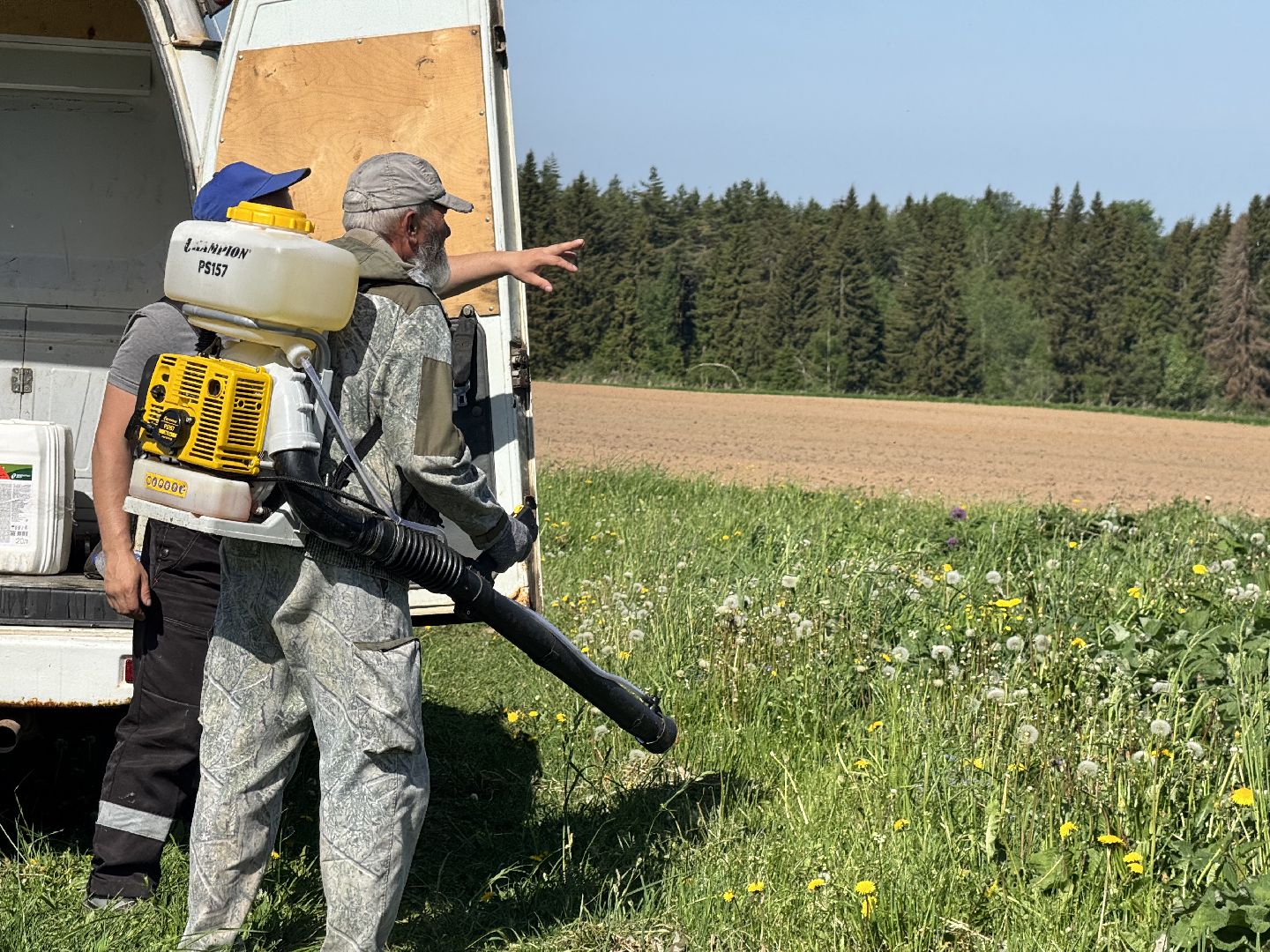 шаховская, борьба с борщевиком, борщевик сосновского,