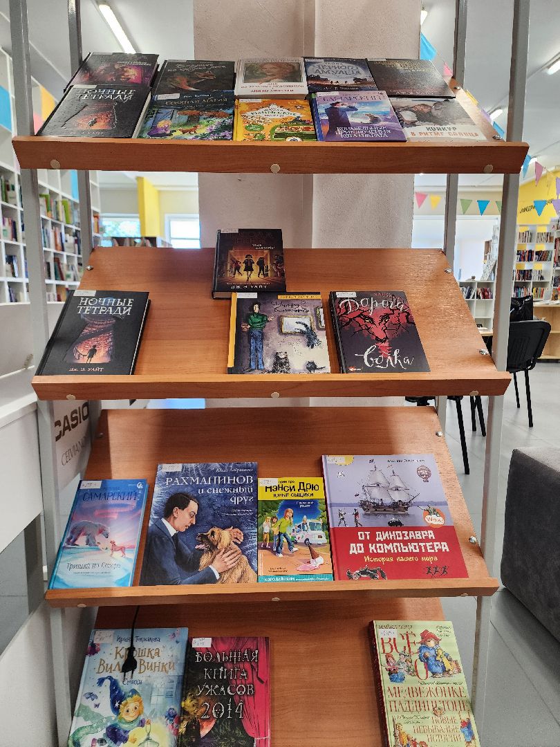 культура подмосковья, библиотеки подмосковья, шатурская библиотека,чтение книг,