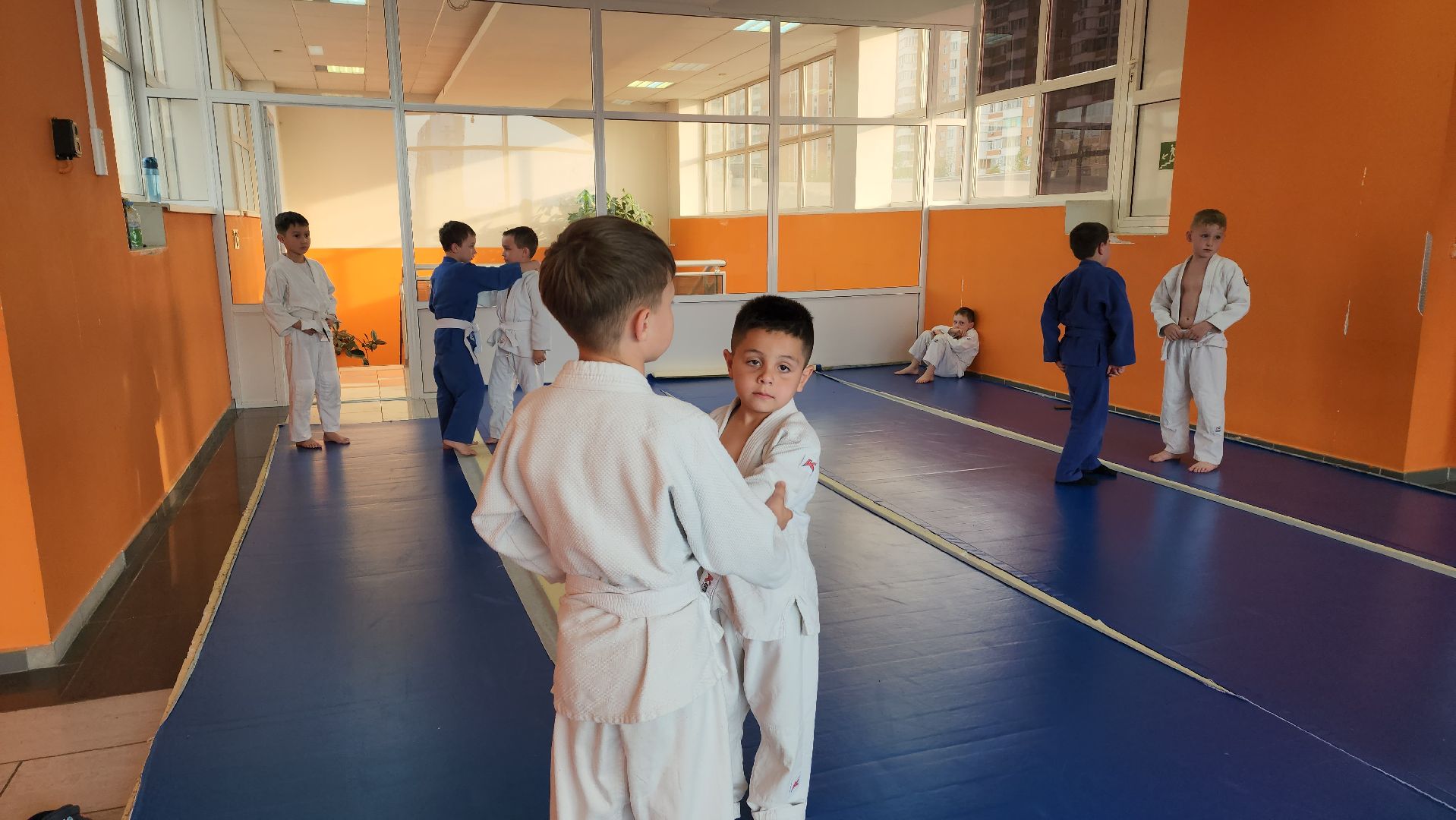 Дзюдо и Самбо , Лобня, Соревнования ,