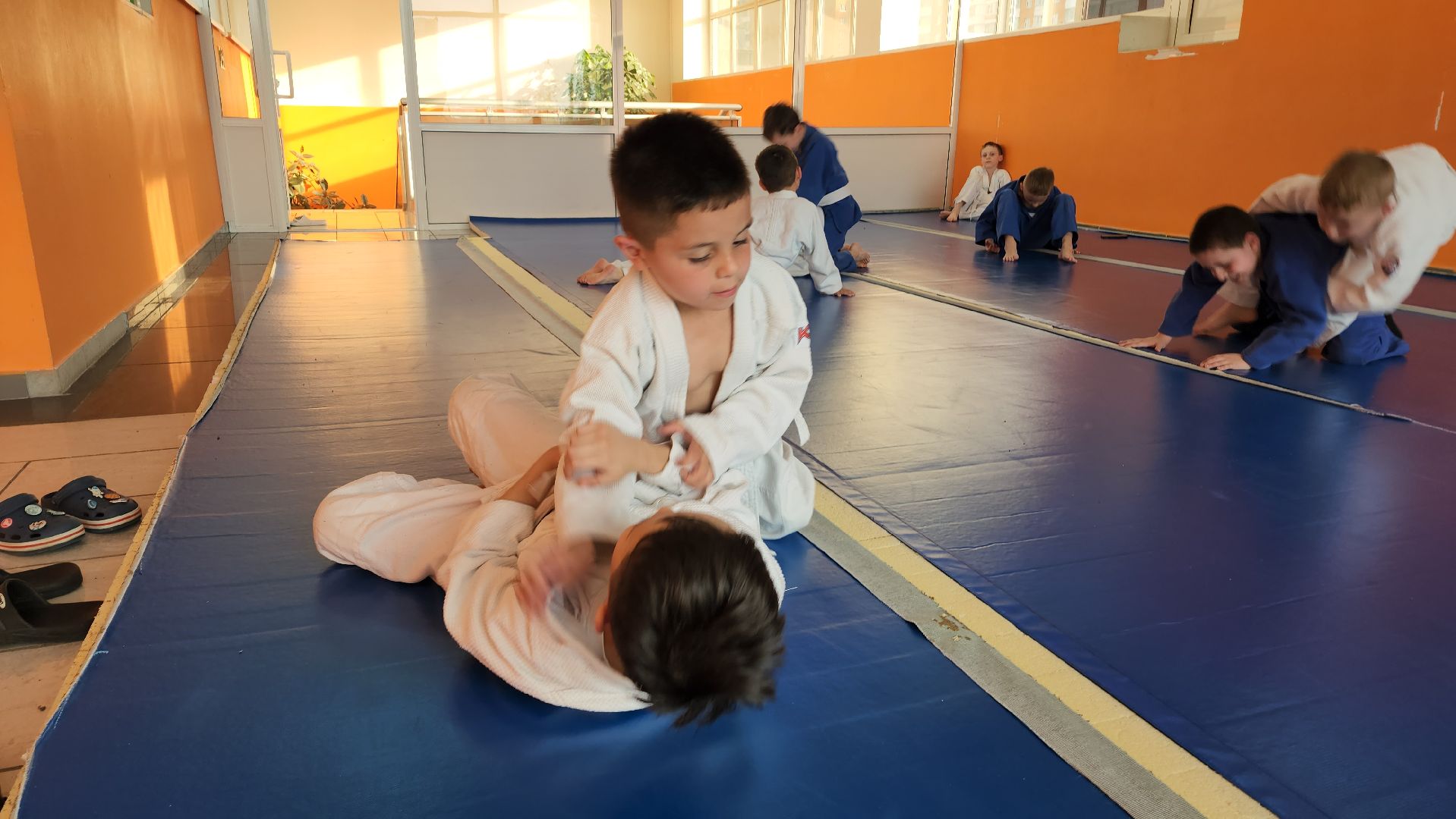 Дзюдо и Самбо , Лобня, Соревнования ,