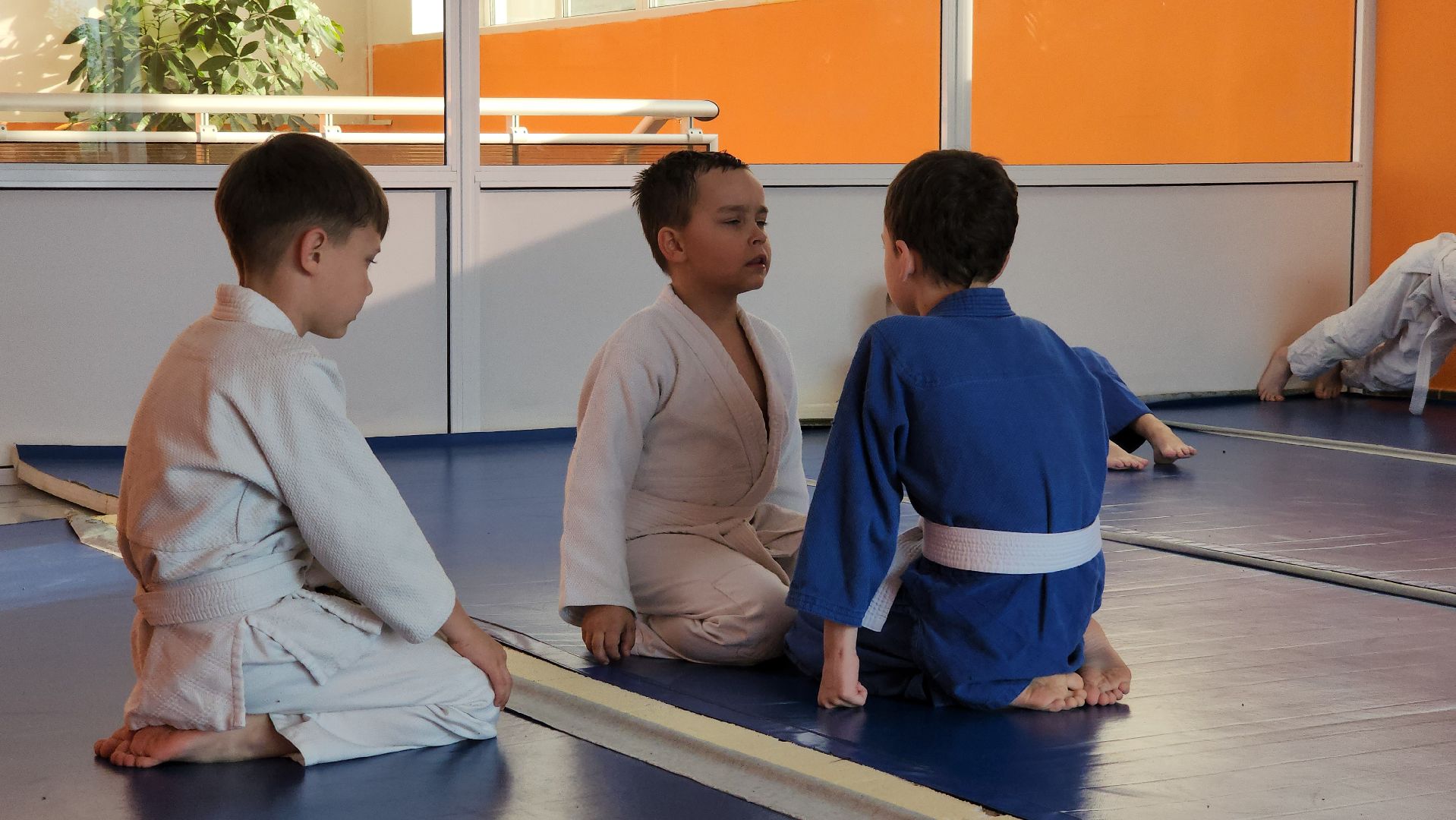 Дзюдо и Самбо , Лобня, Соревнования ,