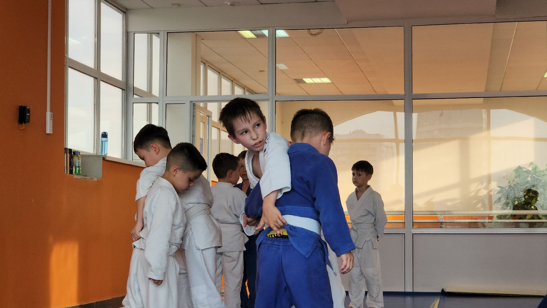 Дзюдо и Самбо , Лобня, Соревнования ,