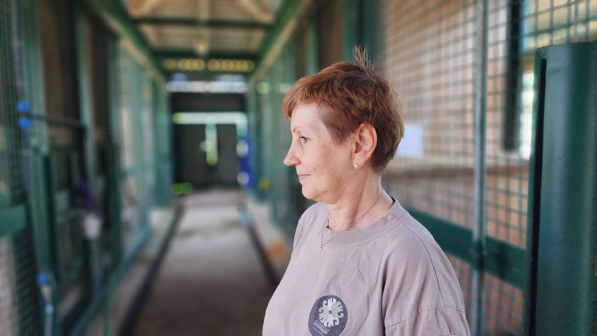 волоколамск,  редкие животные, снежный барс, ирбис,