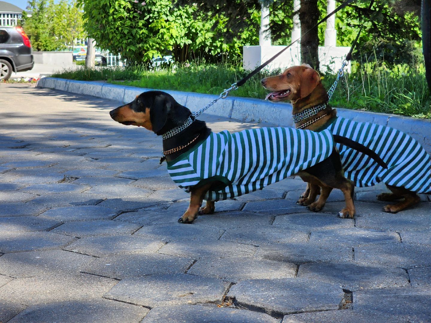 день пограничника,  погранвойска, площадь победы, ногинск, богородский городской округ,