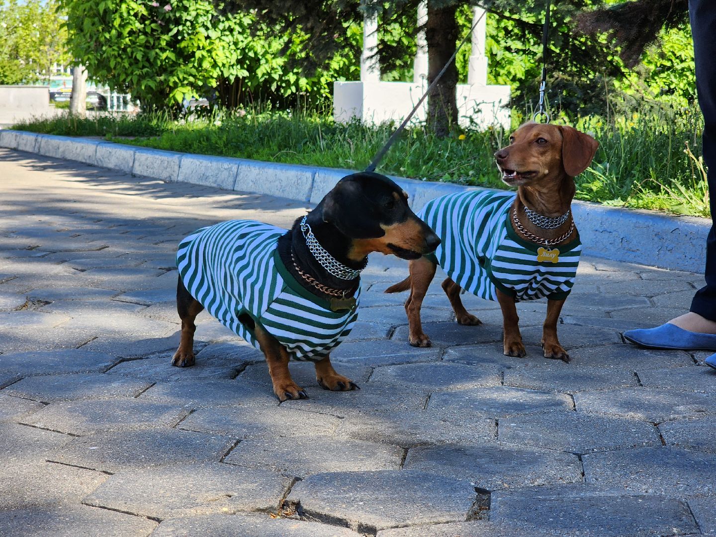 день пограничника,  погранвойска, площадь победы, ногинск, богородский городской округ,